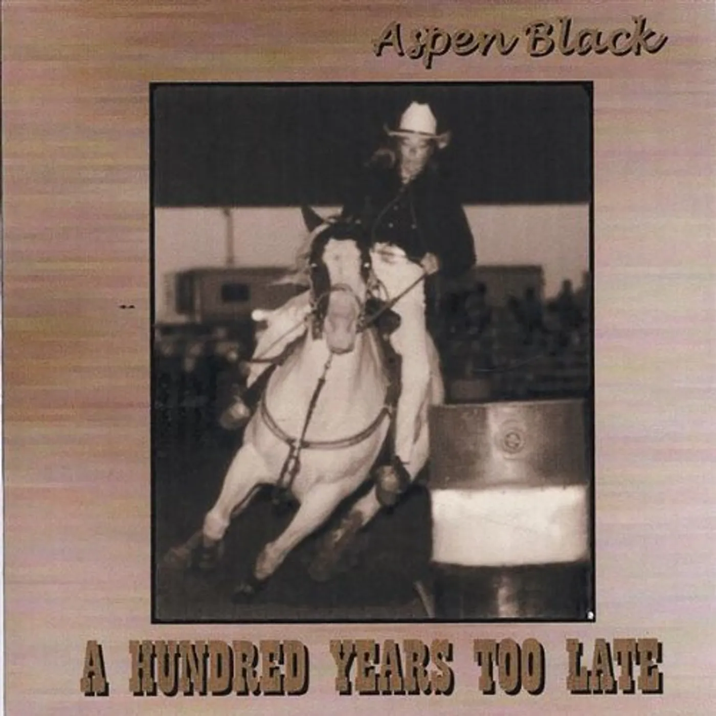 Aspen Black HUNDRED YEARS TOO LATE-NEW! CD