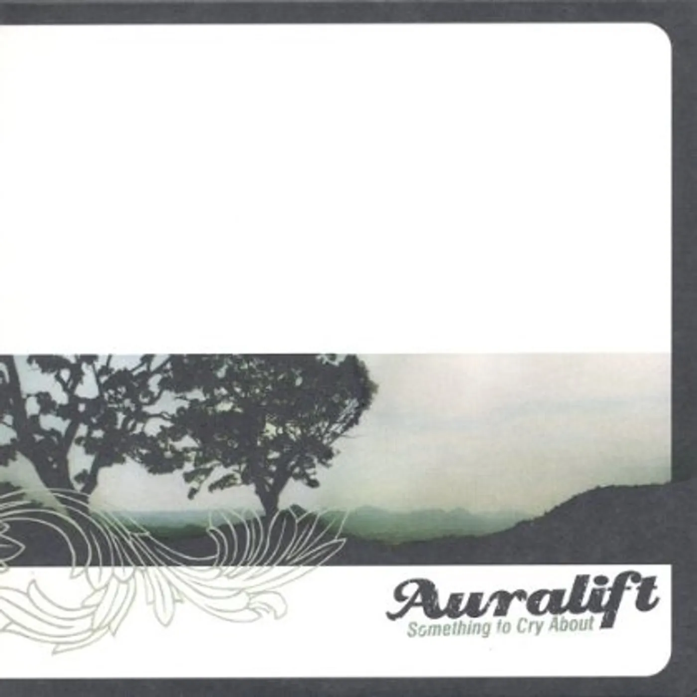 Auralift SOMETHING TO CRY ABOUT CD