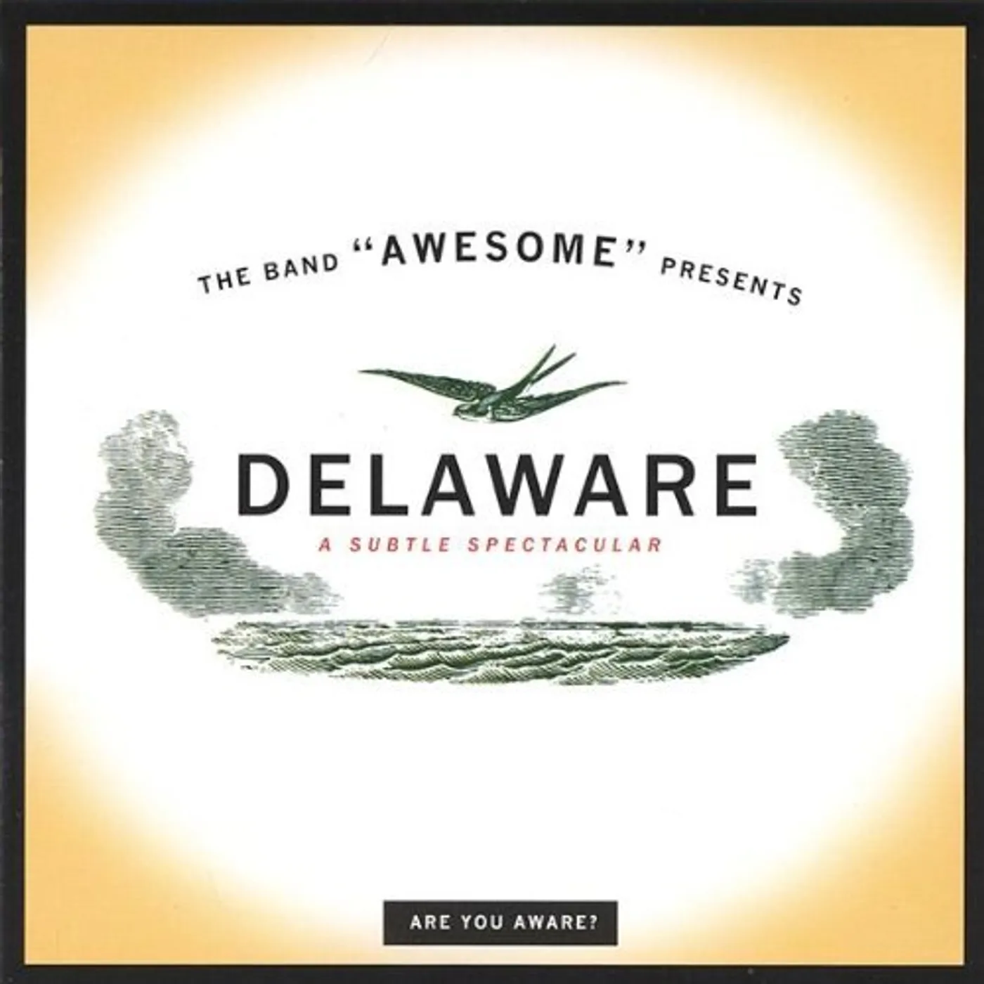 Awesome DELAWARE-A SUBTLE SPECTACULAR CD