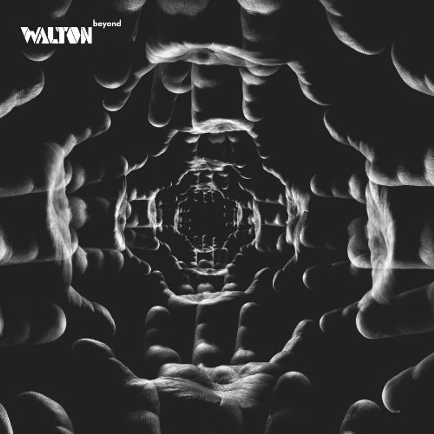 Walton Beyond Vinyl Record