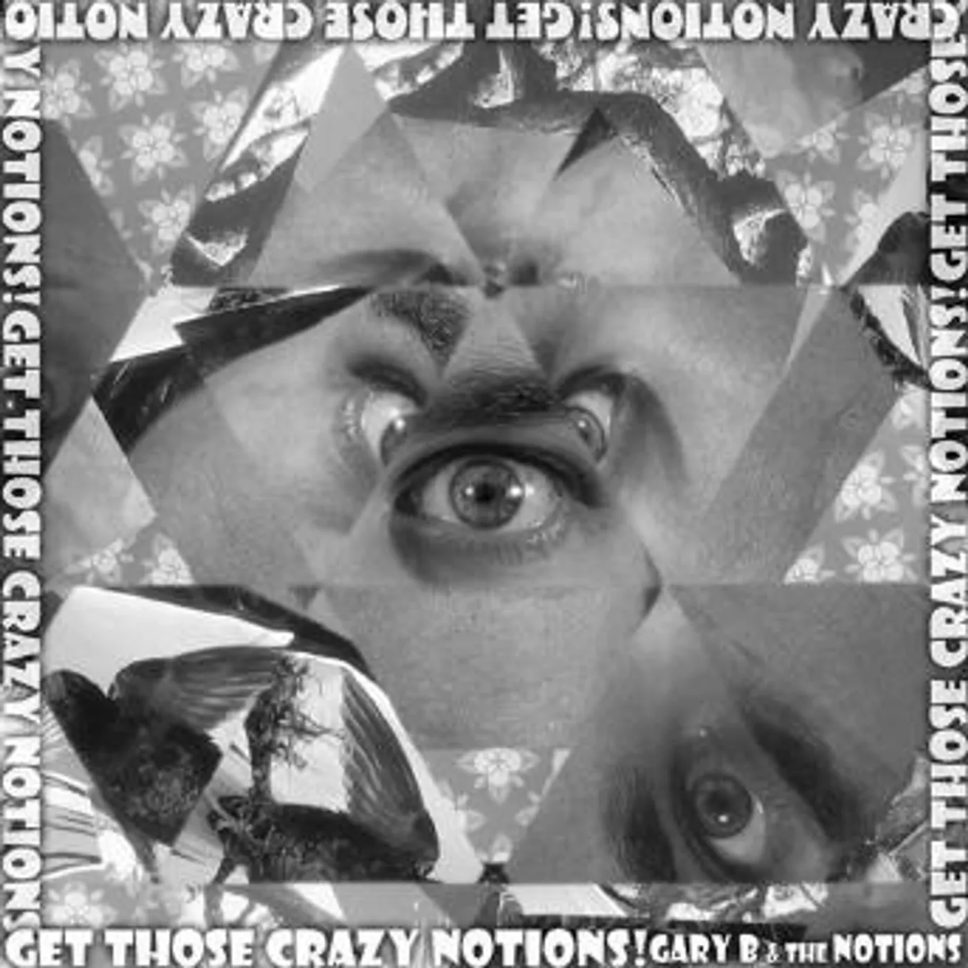 Gary B & The Notions GET THOSE CRAZY NOTIONS CD