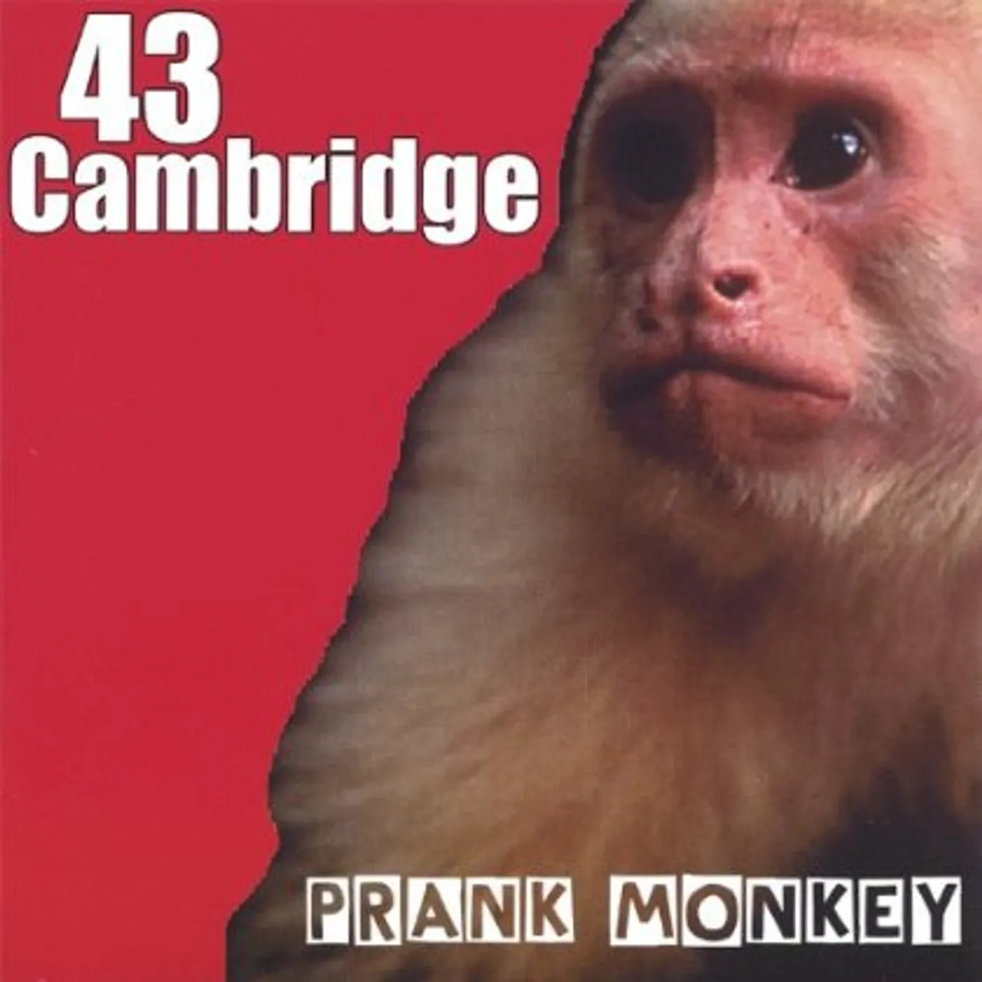 43 Cambridge PRANK MONKEY CD