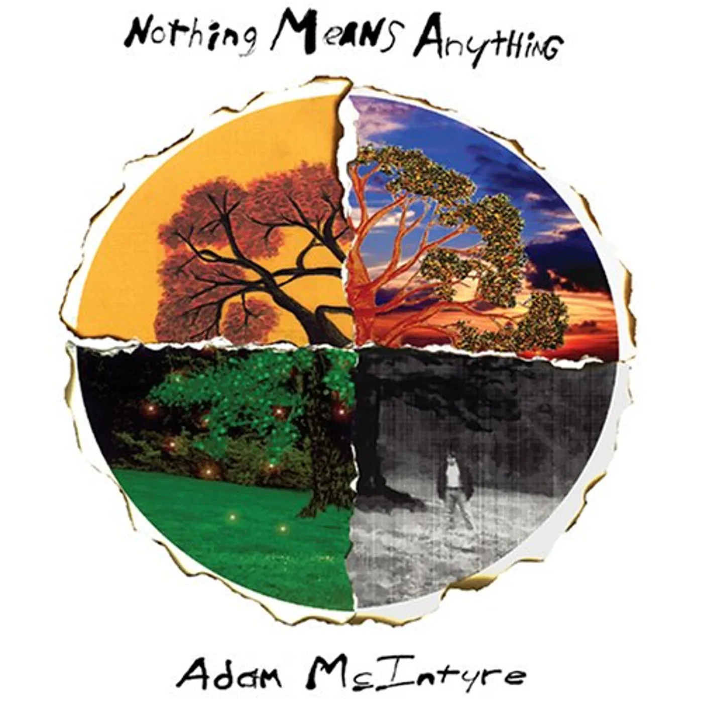 Adam McIntyre NOTHING MEANS ANYTHING CD