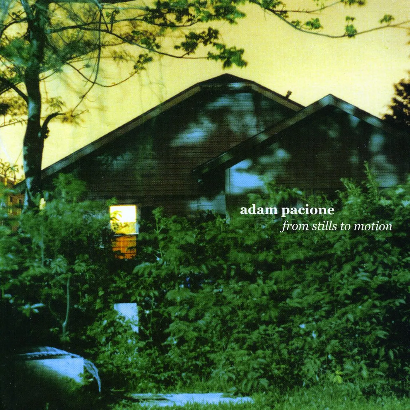 Adam Pacione FROM STILLS TO MOTION CD