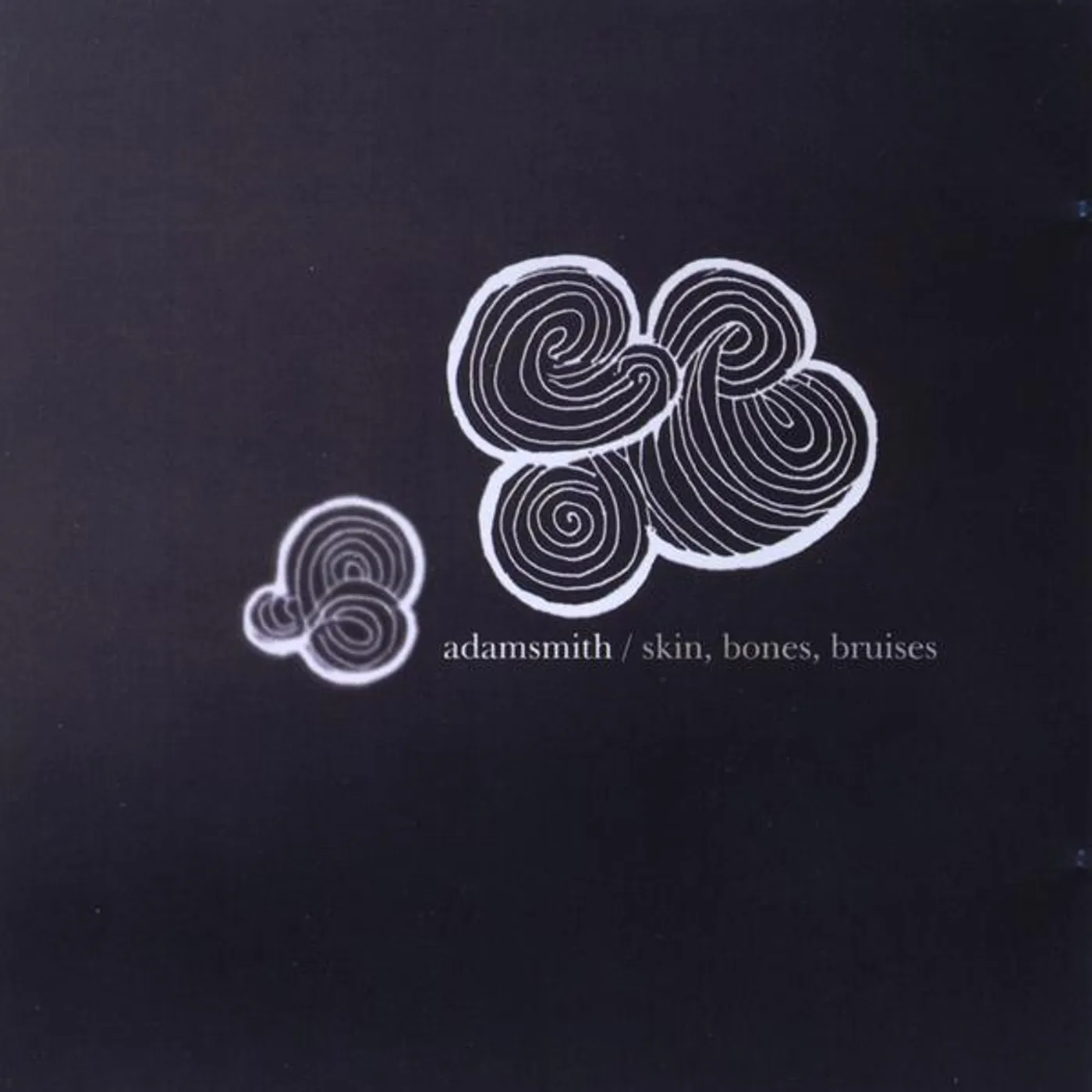 Adam Smith SKIN BONES BRUISES CD