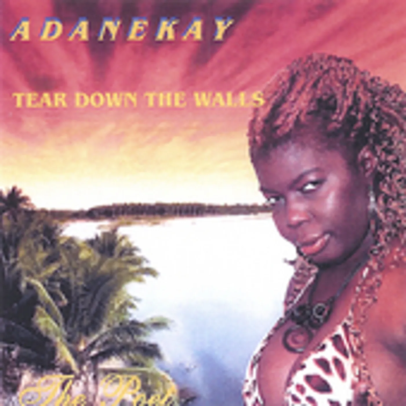 Adanekay TEAR DOWN THE WALLS CD