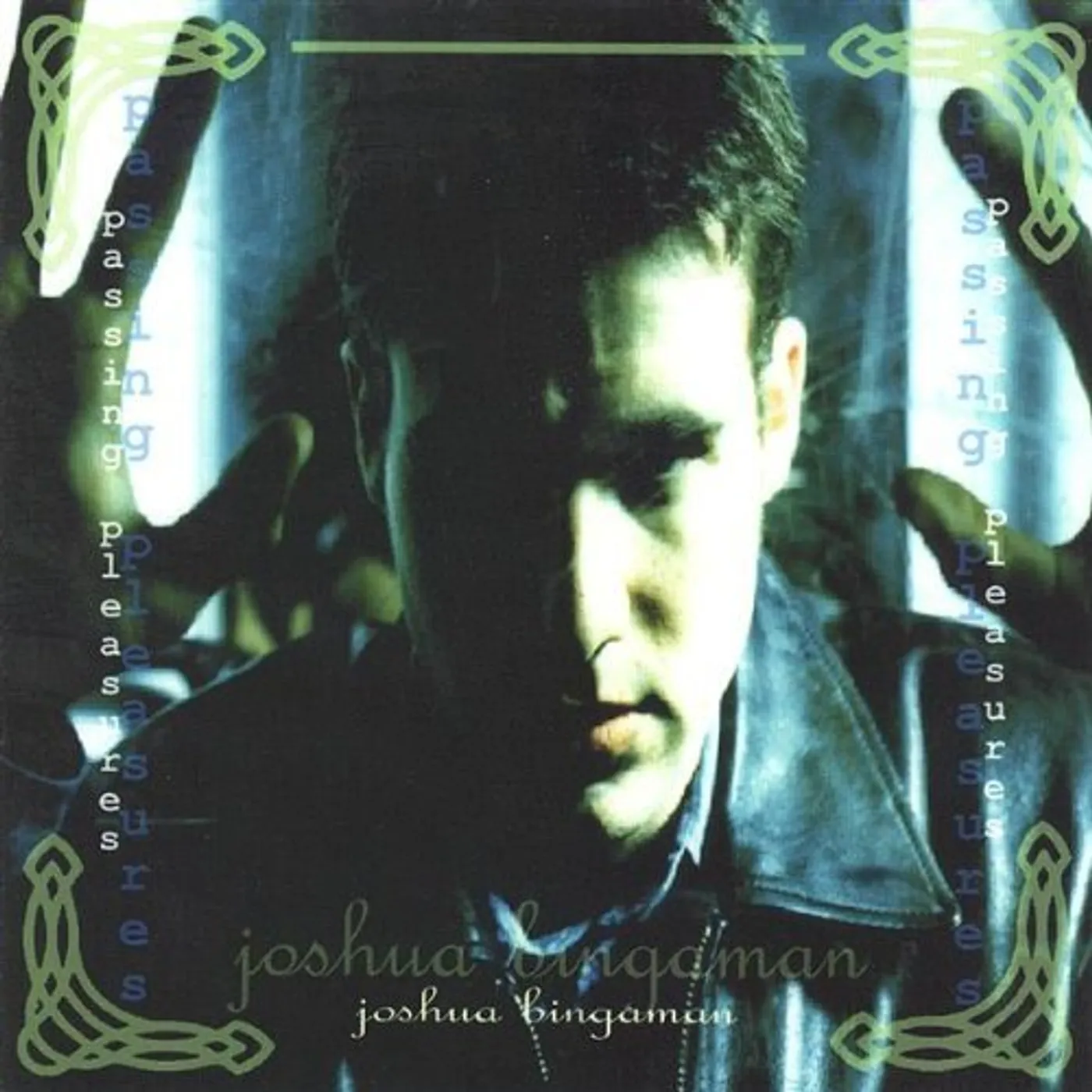 Joshua Bingaman PASSING PLEASURES CD
