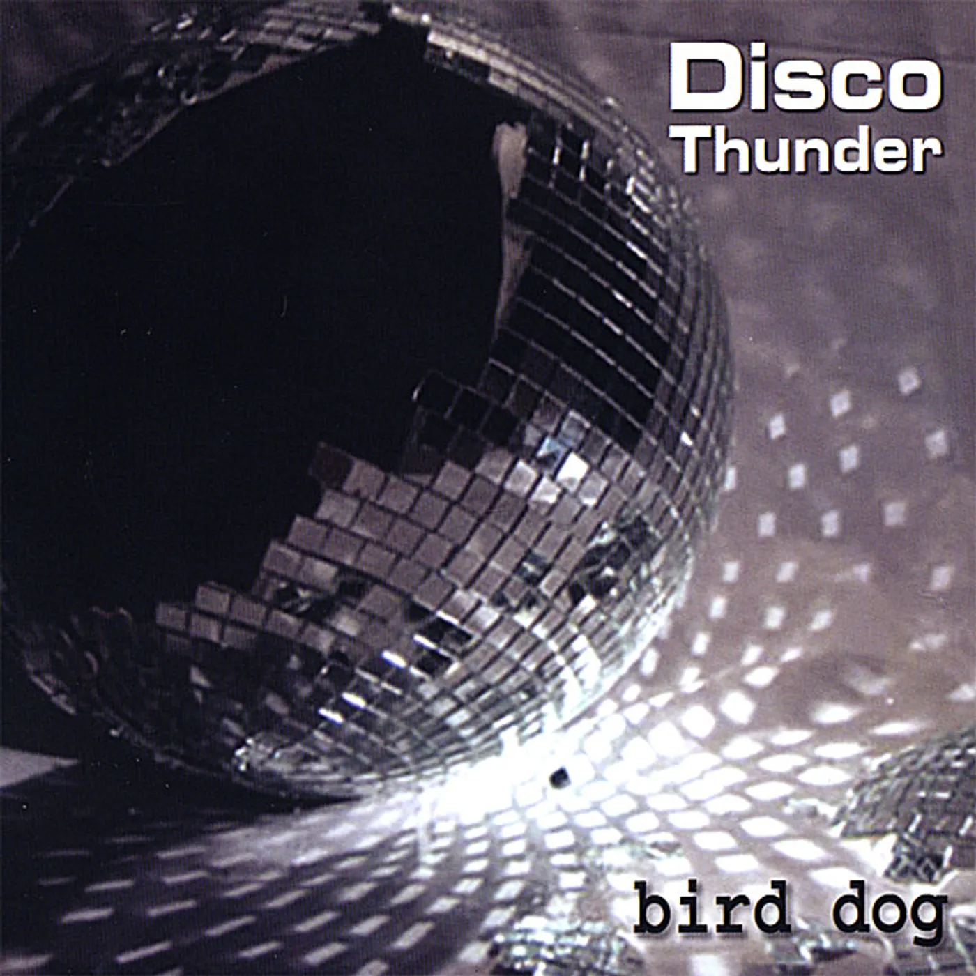 Bird Dog DISCO THUNDER CD