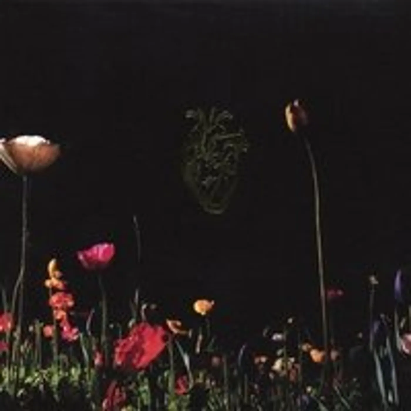 Birds & Batteries I'LL NEVER SLEEP AGAIN CD
