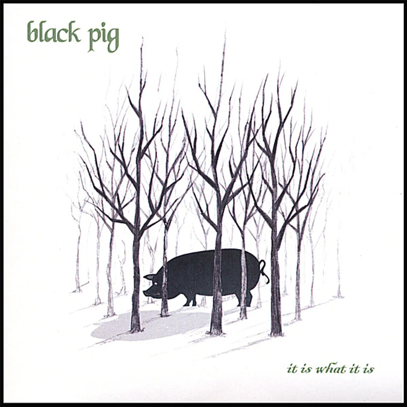 Black Pig IT IS WHAT IT IS CD