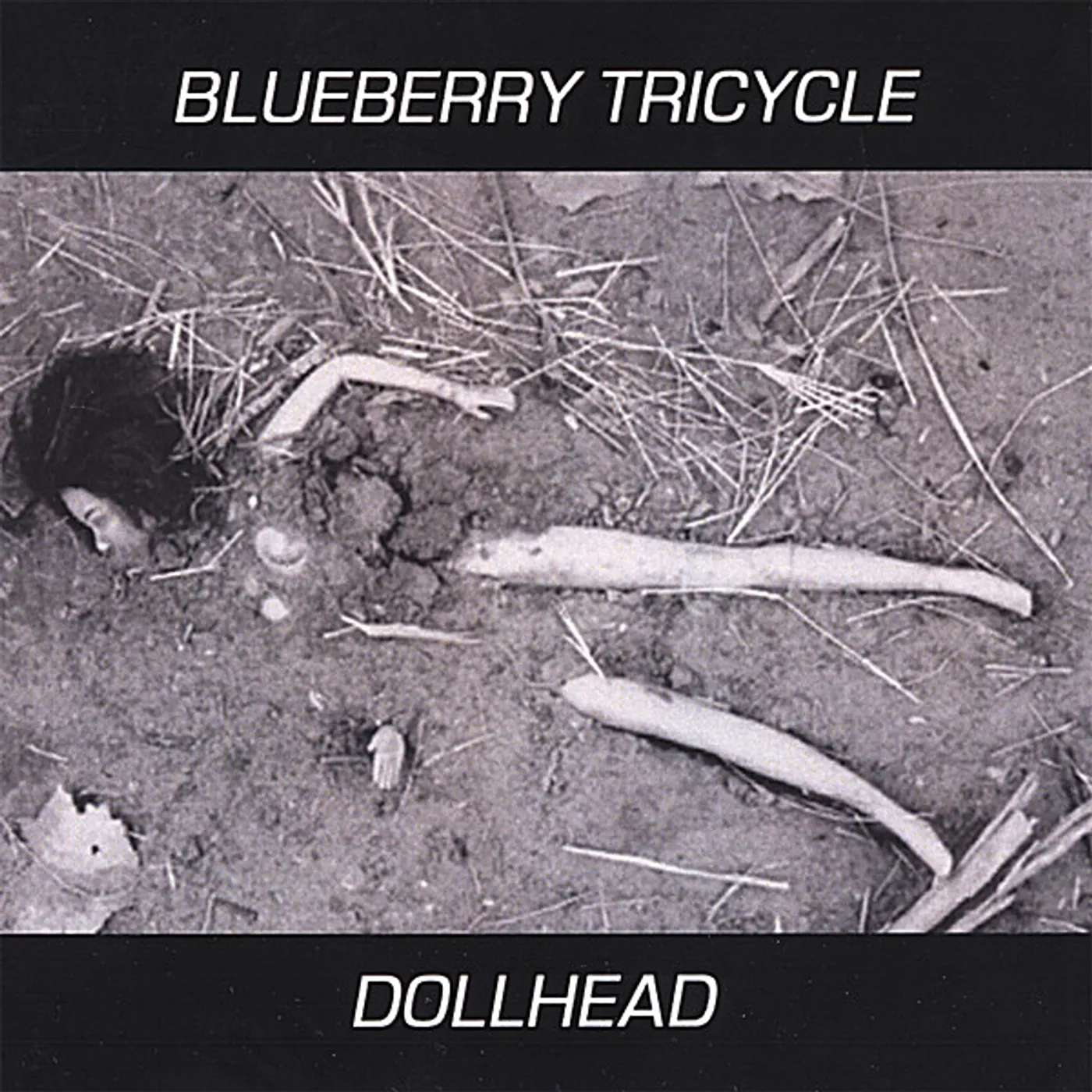 Blueberry Tricycle DOLLHEAD CD