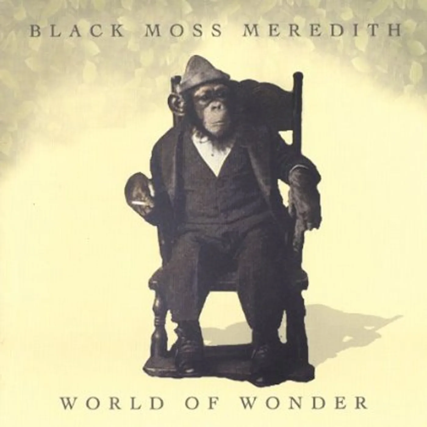 Black Moss Meredith WORLD OF WONDER CD