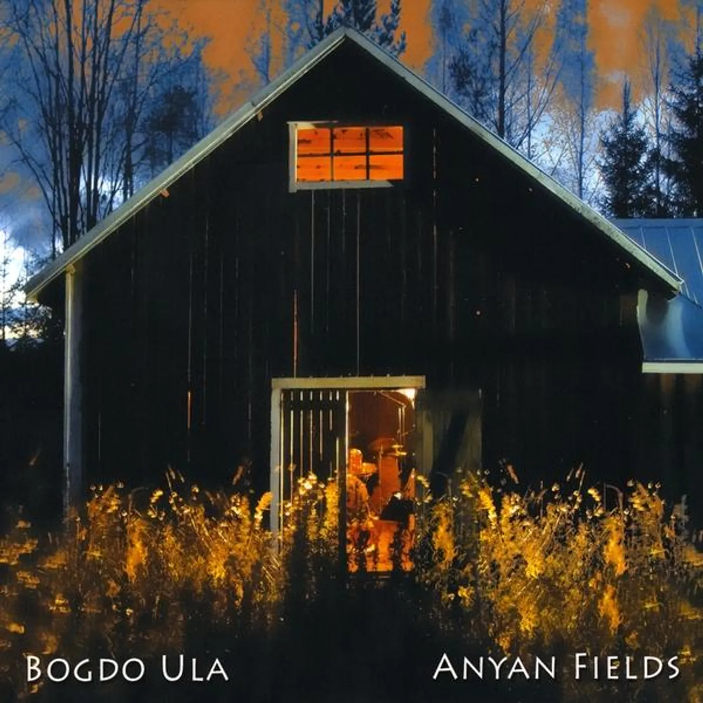 Bogdo Ula ANYAN FIELDS CD