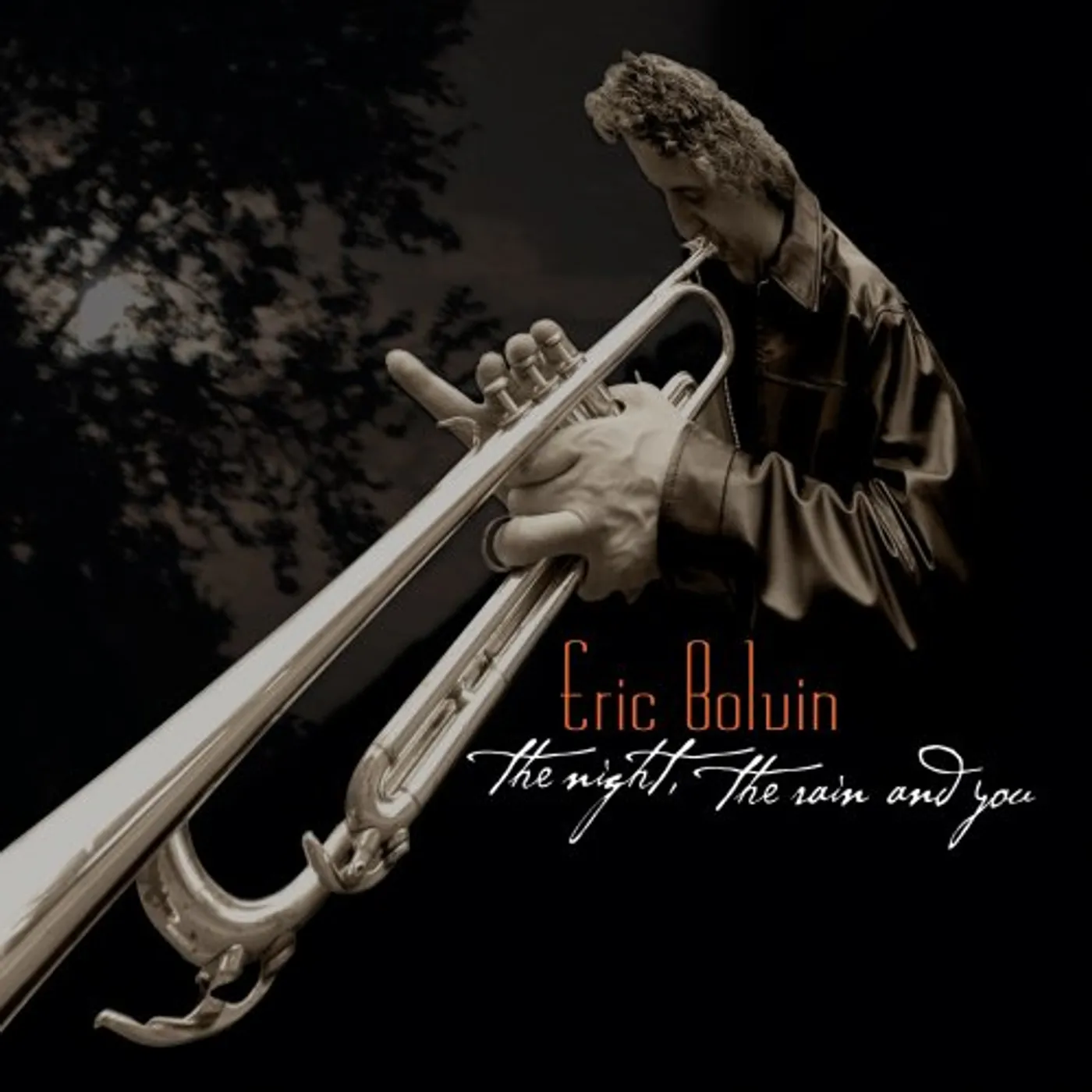 Eric Bolvin NIGHT THE RAIN & YOU CD