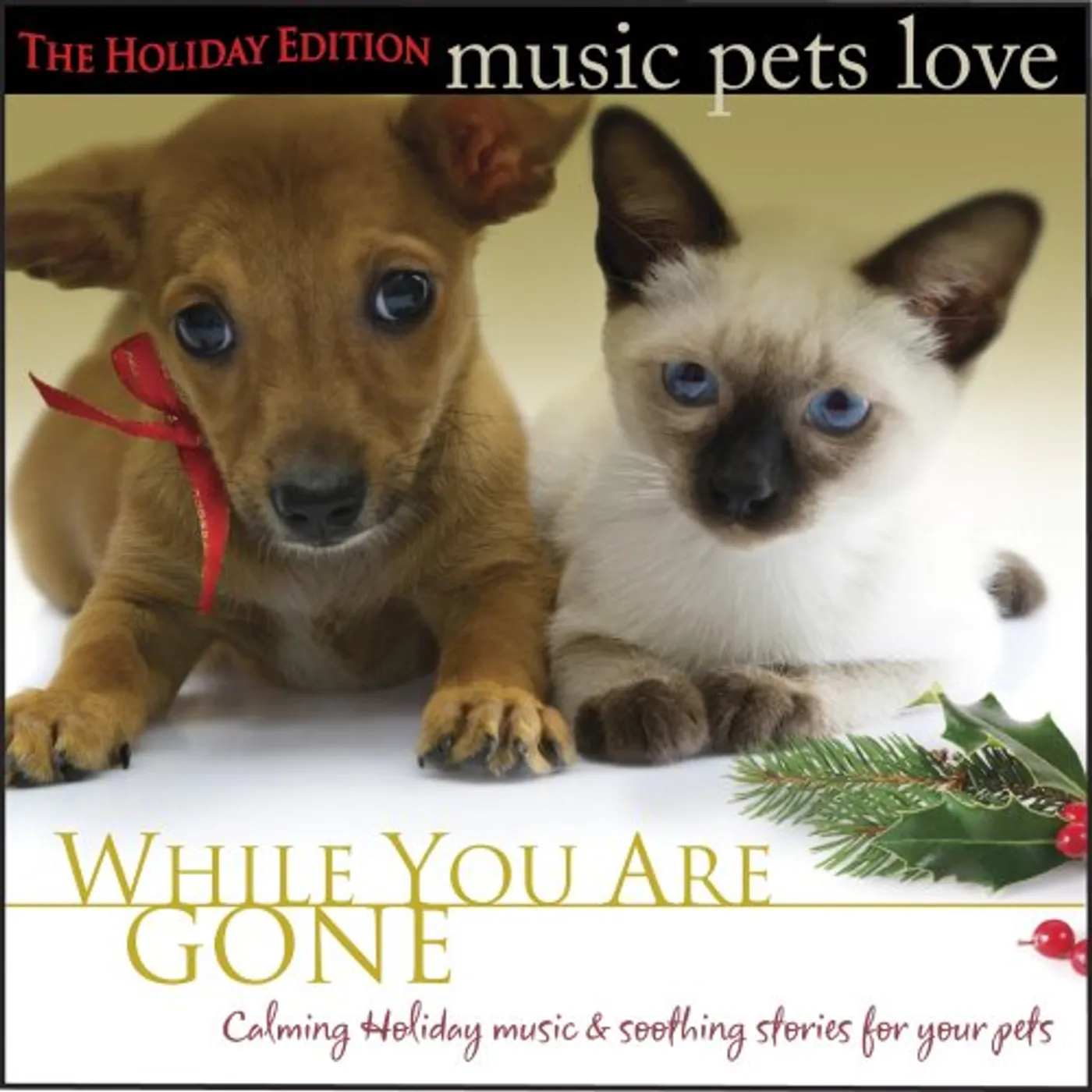 Bradley Joseph MUSIC PETS LOVE: THE HOLIDAY EDITION (WHILE YOU AR CD