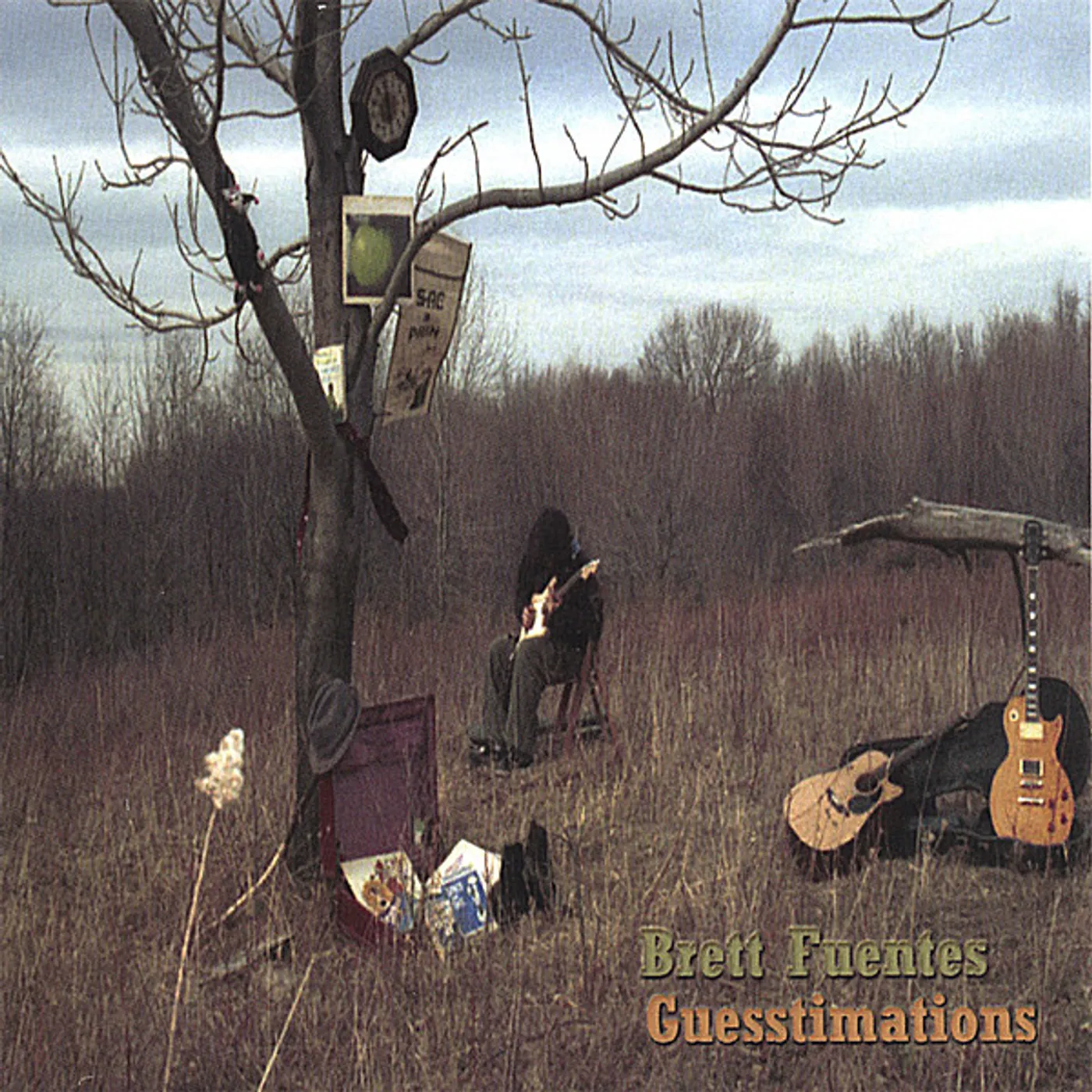 Brett Fuentes GUESSTIMATIONS CD