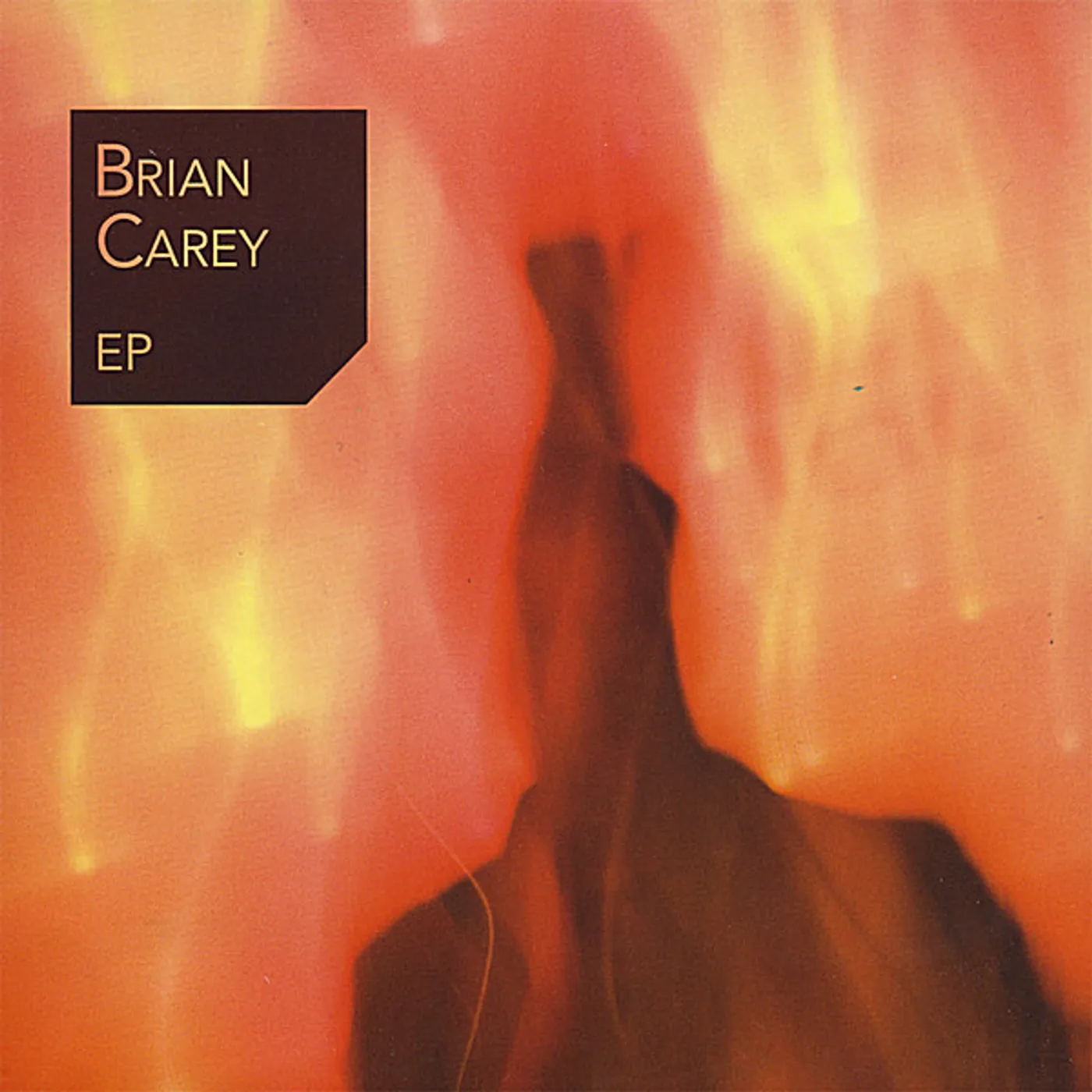 BRIAN CAREY CD