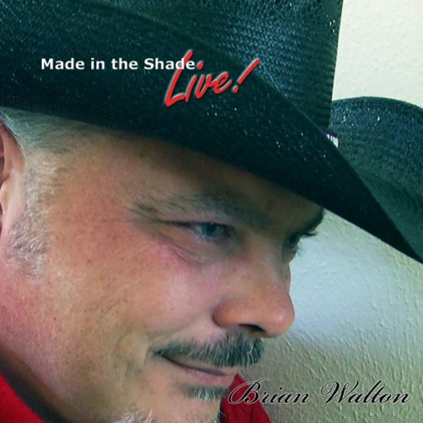 Brian Walton MADE IN THE SHADE LIVE CD