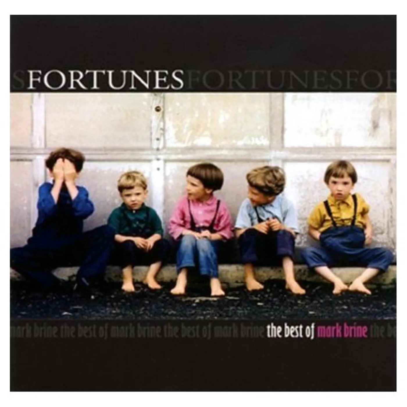 FORTUNES-THE BEST OF MARK BRINE CD
