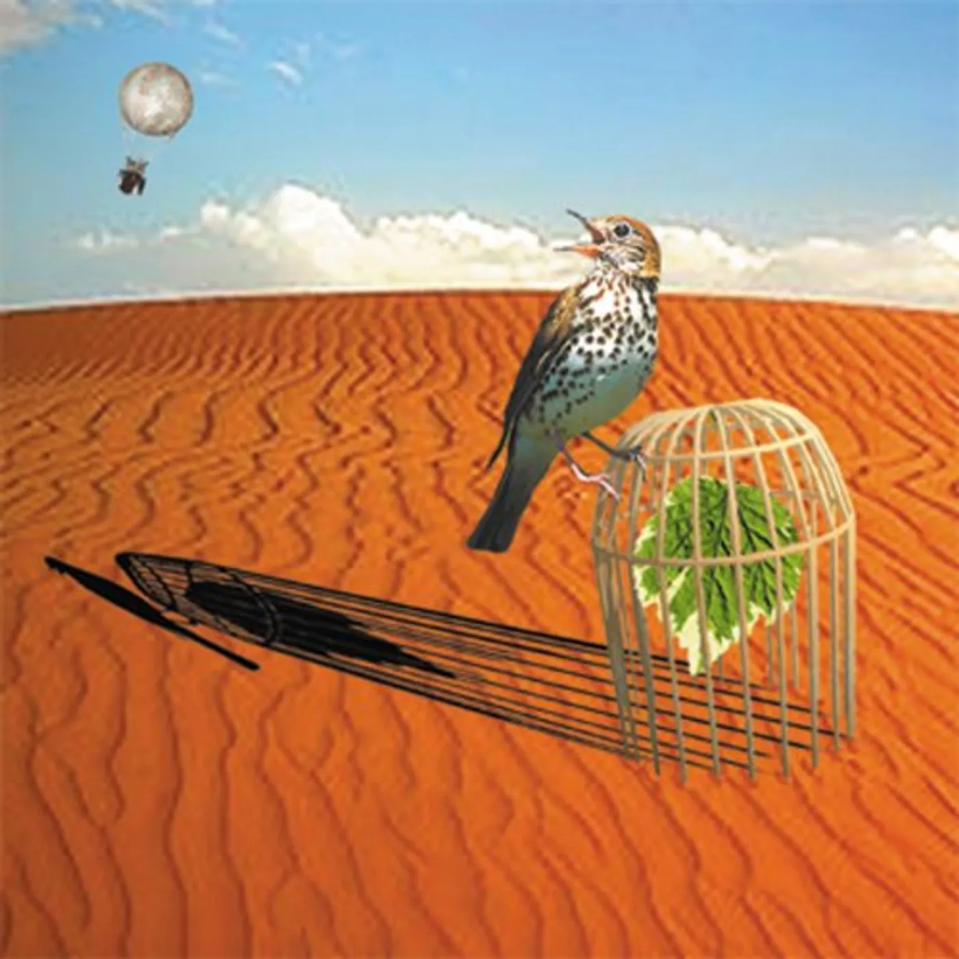 Patrick Briscoe COLOURS WILL FLY CD
