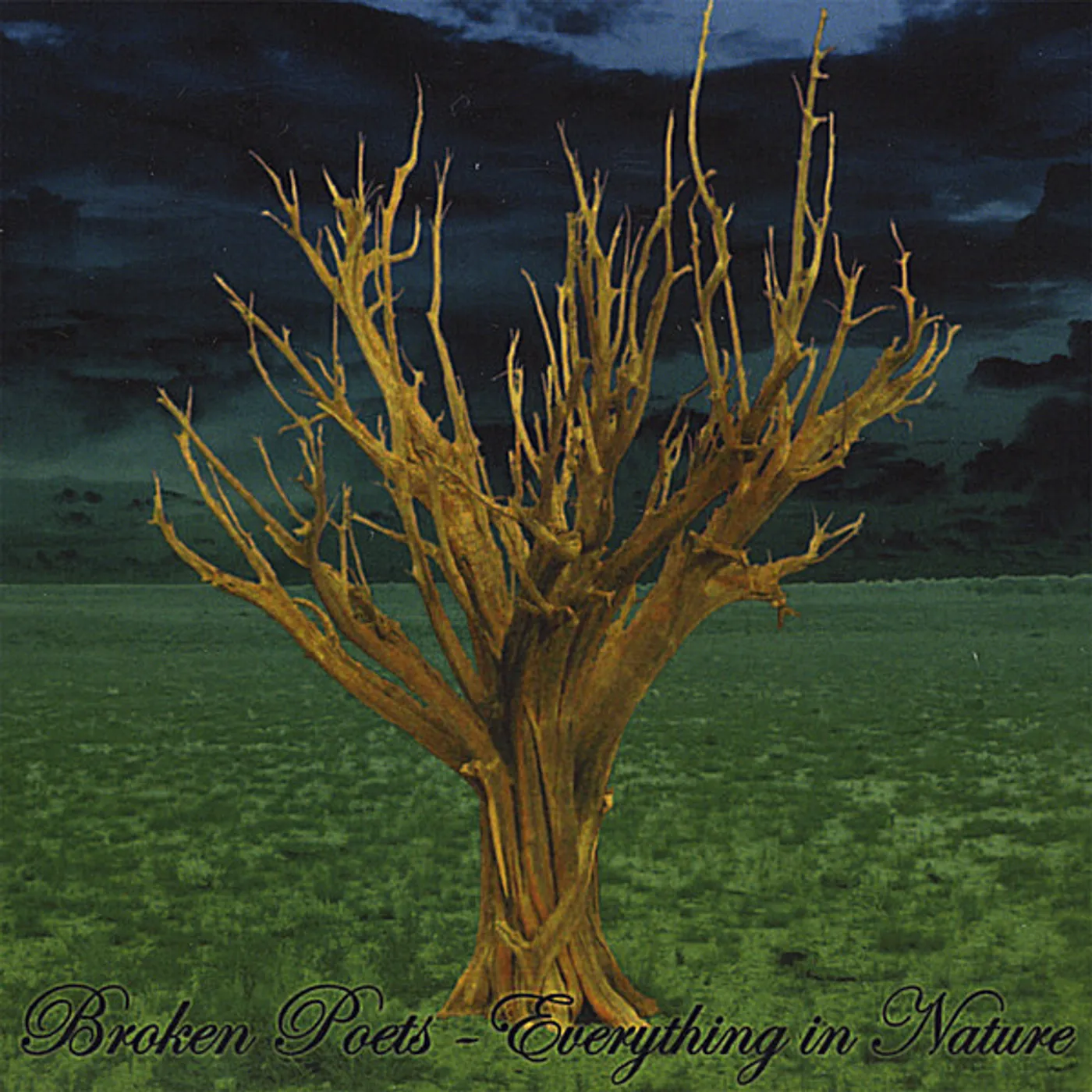 Broken Poets EVERYTHING IN NATURE CD