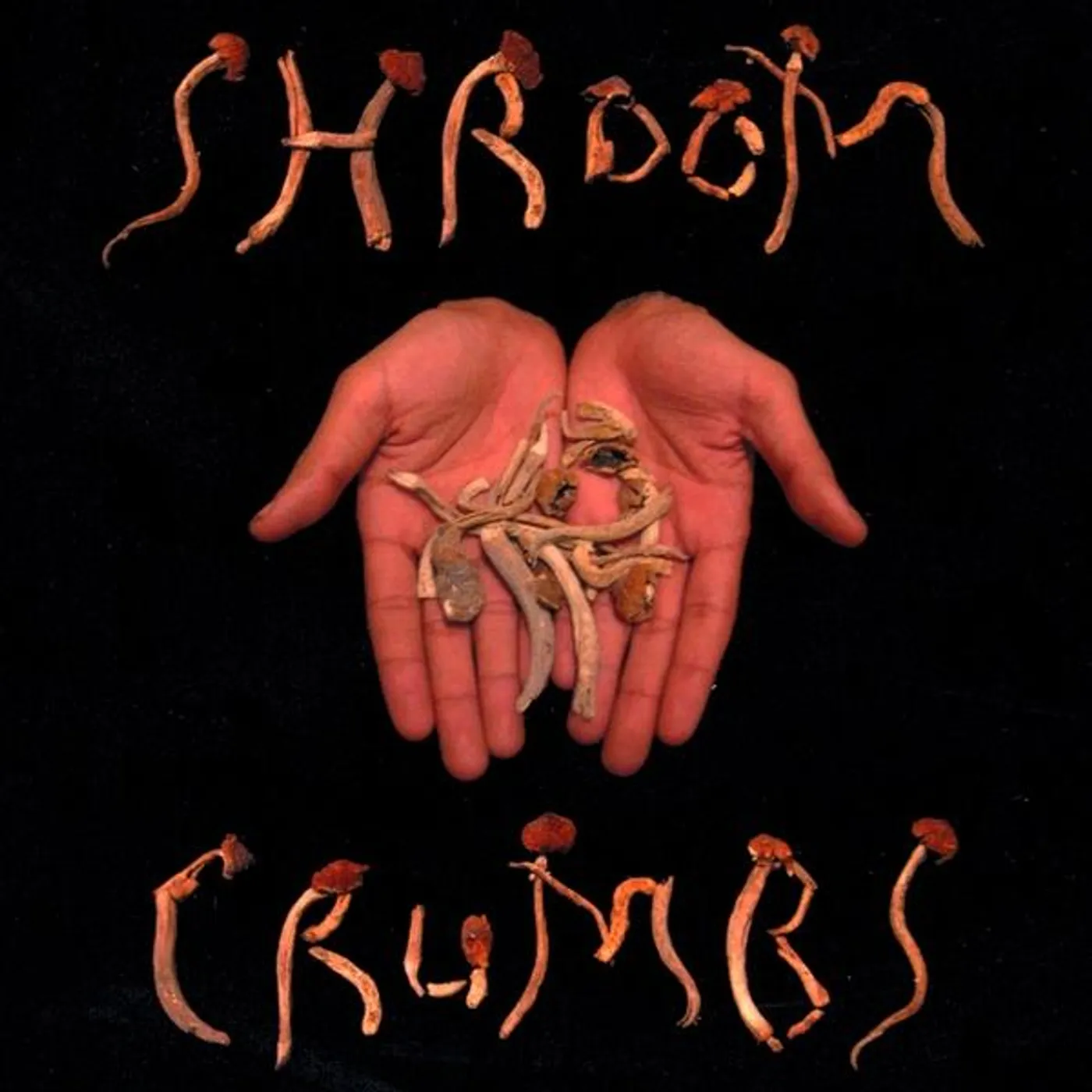 Bru Lei SHROOM CRUMBS CD