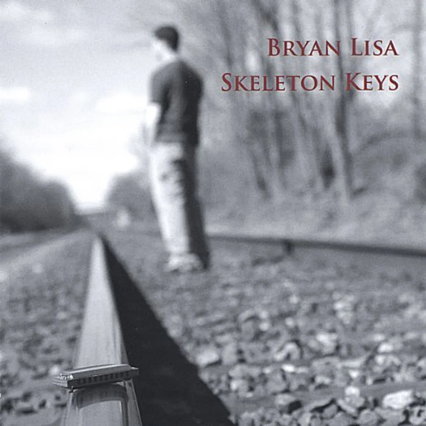 Bryan Lisa SKELETON KEYS CD