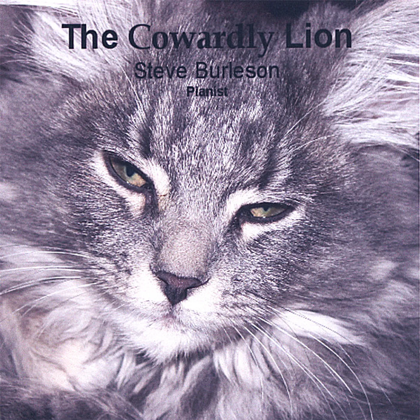 Steve Burleson COWARDLY LION CD