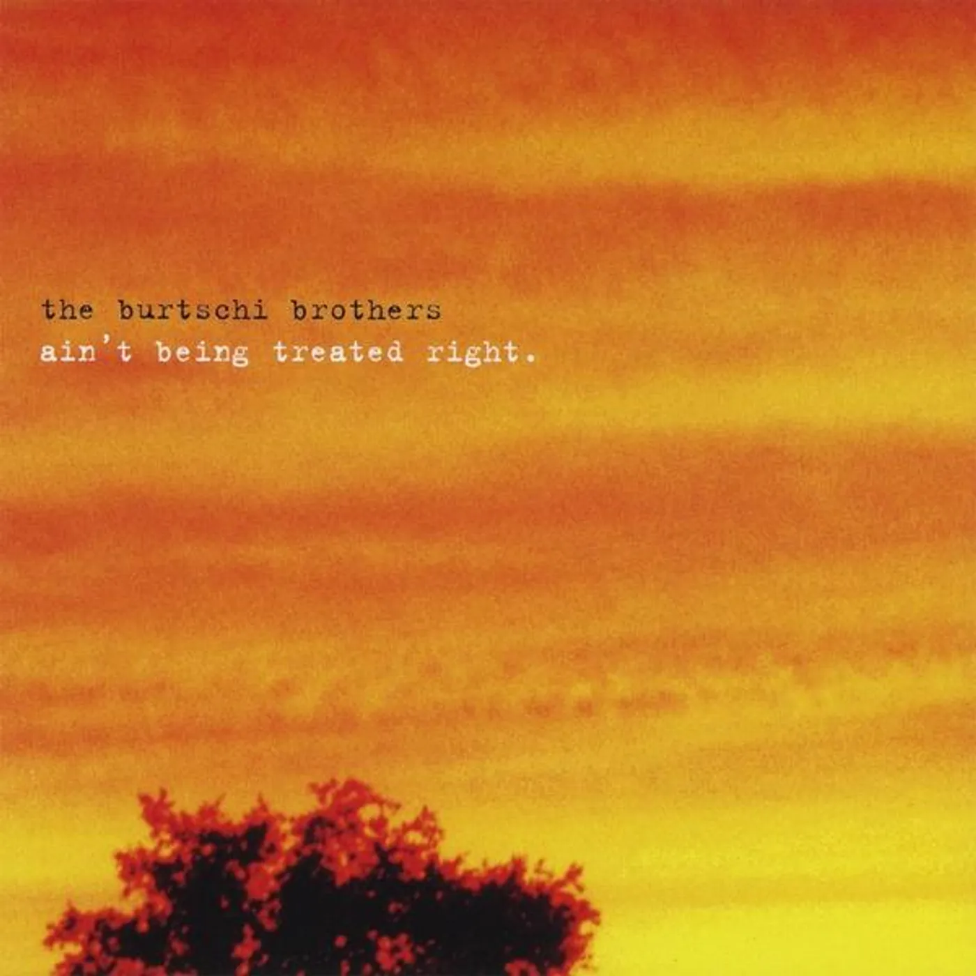 Burtschi Brothers AIN'T BEING TREATED RIGHT CD