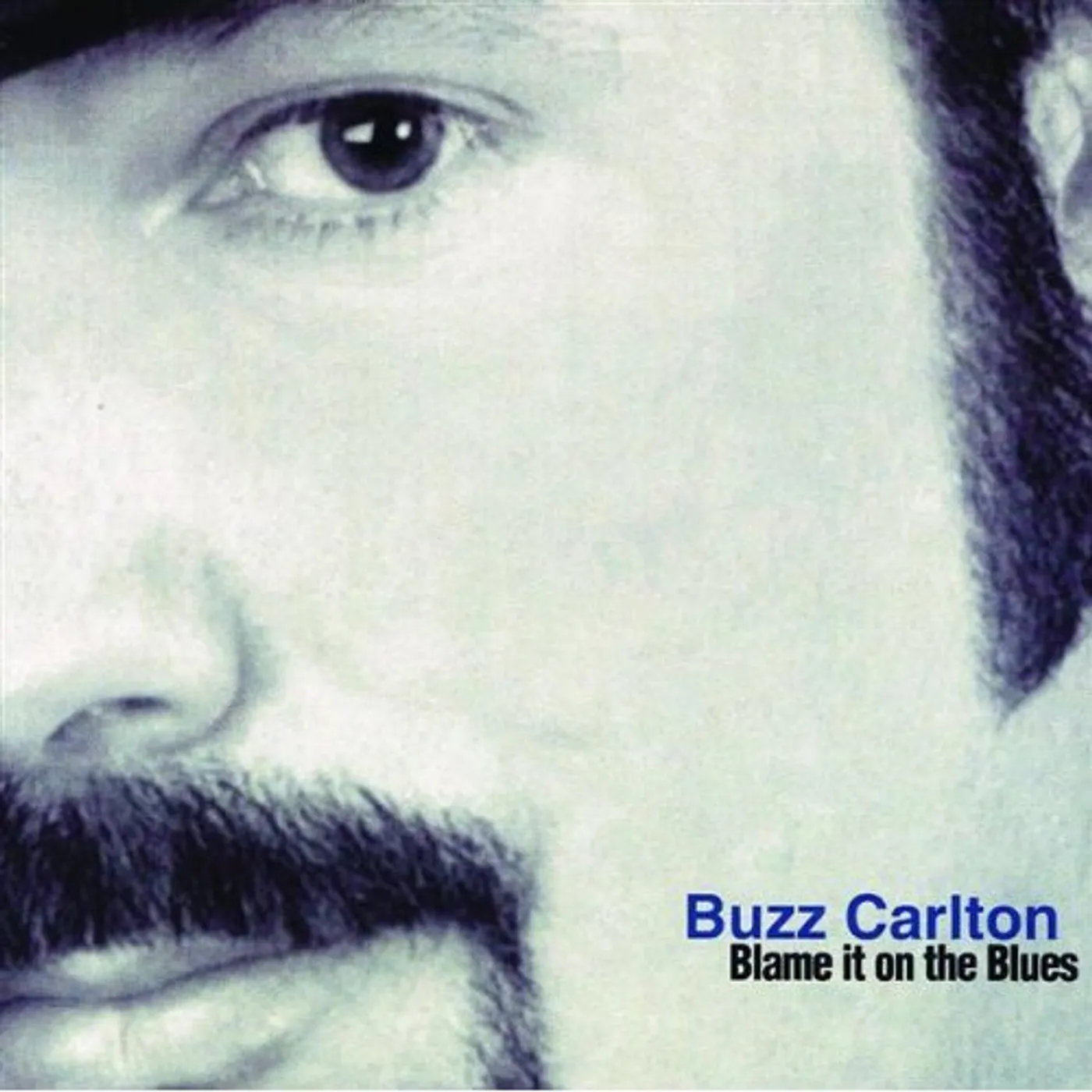 Buzz Carlton BLAME IT ON THE BLUES CD