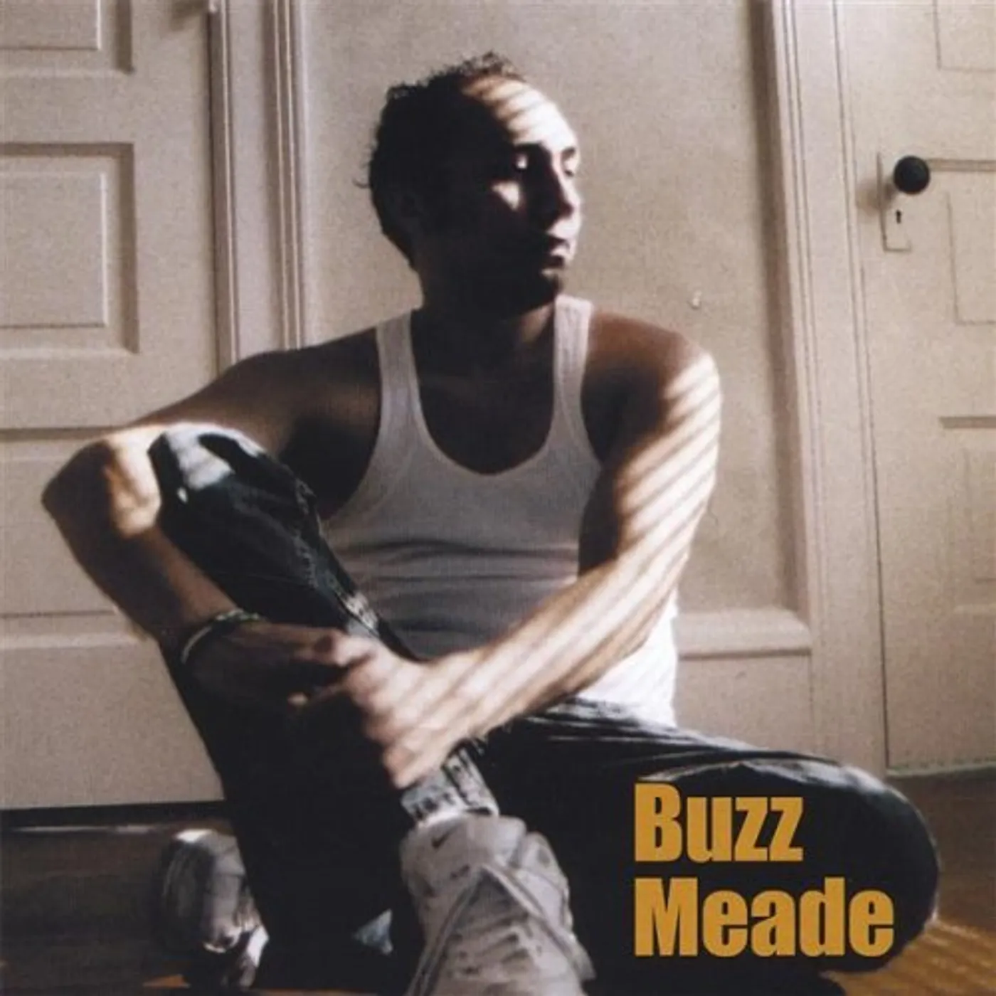 Buzz Meade REFLECT THE LIGHT CD