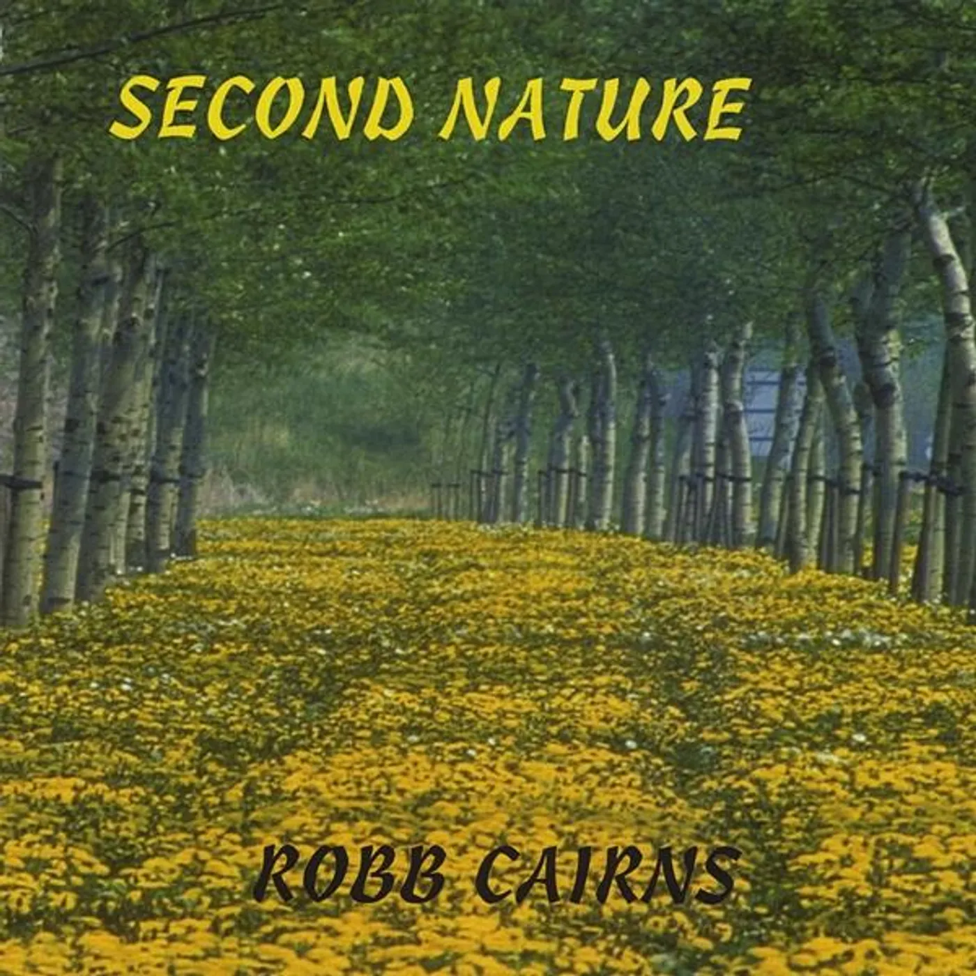 Robb Cairns SECOND NATURE CD