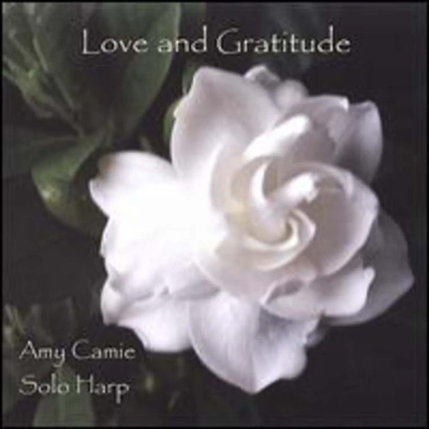 Amy Camie LOVE & GRATITUDE CD