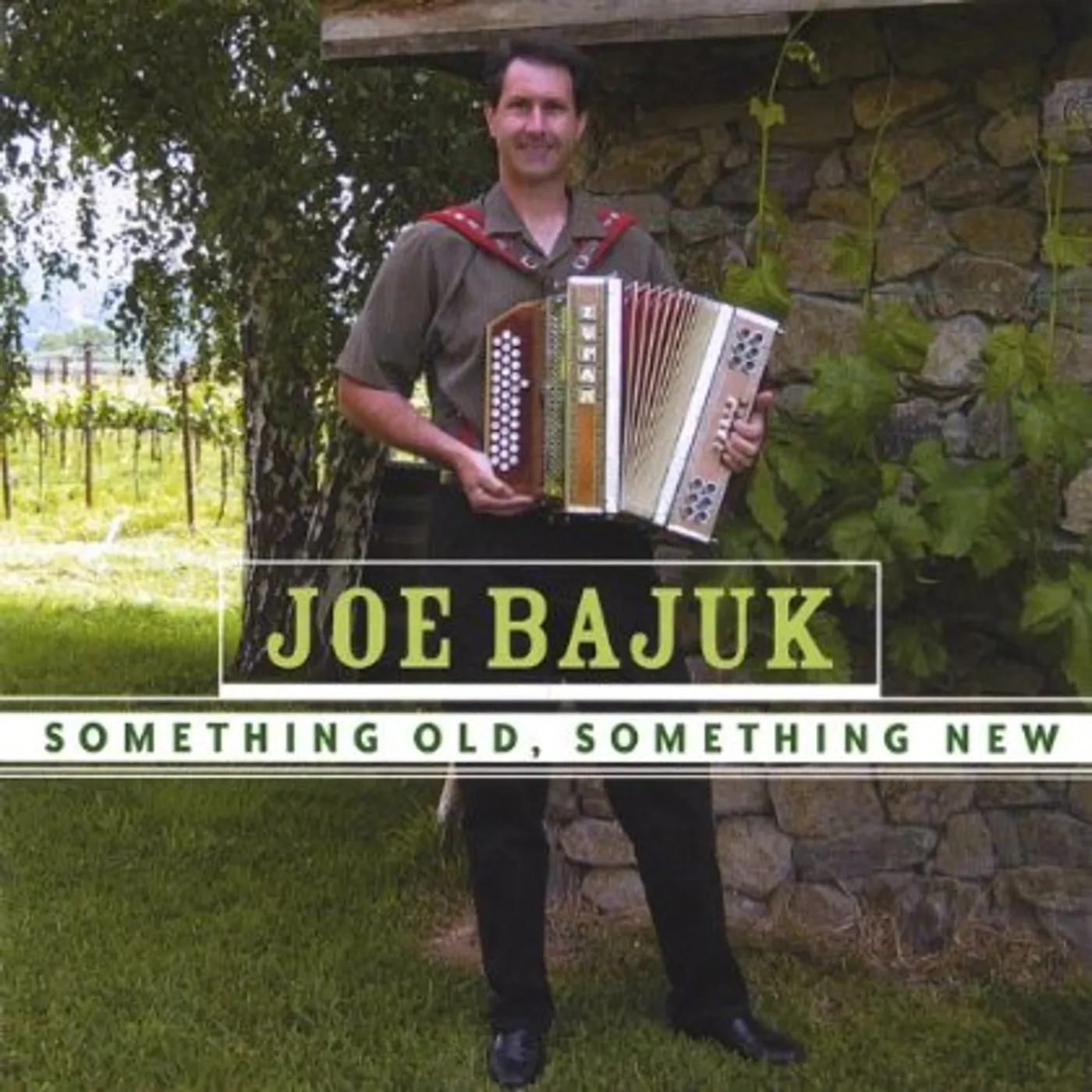Joe Bajuk SOMETHING OLD SOMETHING NEW CD