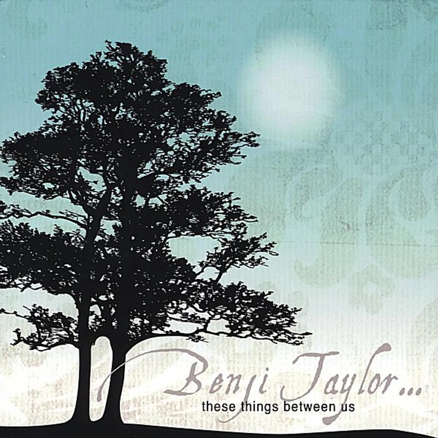 Benji Taylor THESE THINGS BETWEEN US CD