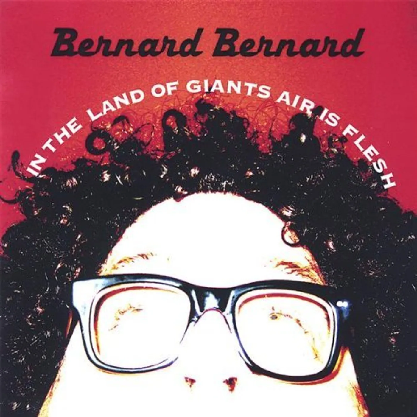 Bernard Bernard IN THE LAND OF GIANTS AIR IS FLESH CD