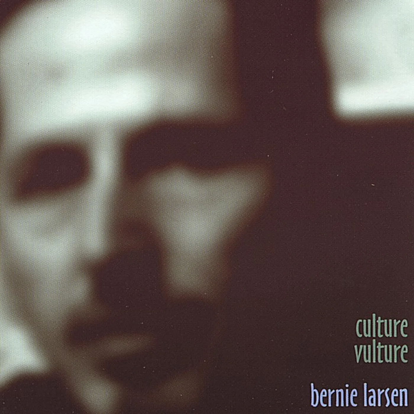 Bernie Larsen CULTURE VULTURE CD