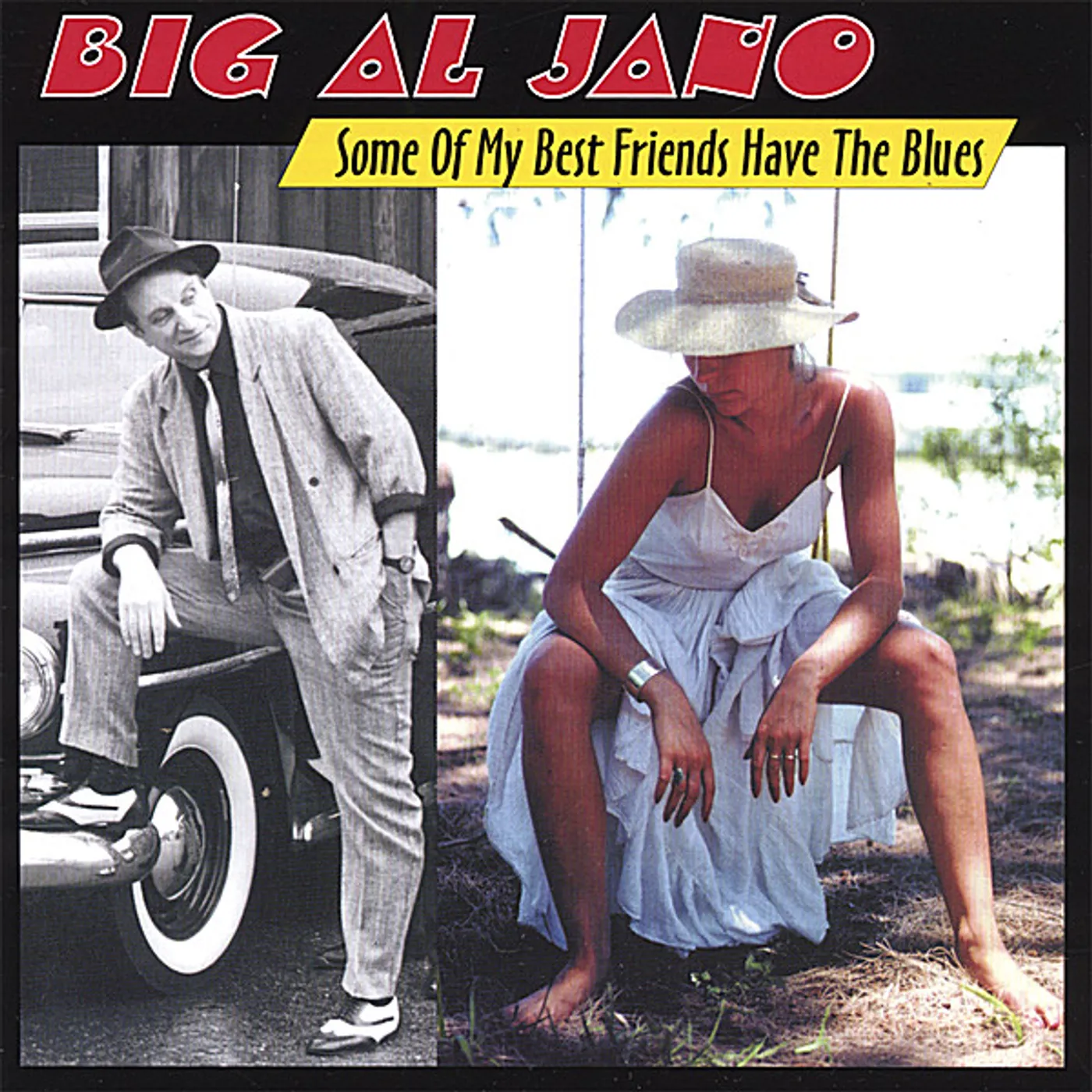 Big Al Jano SOME OF MY BEST FRIENDS HAVE THE BLUES CD