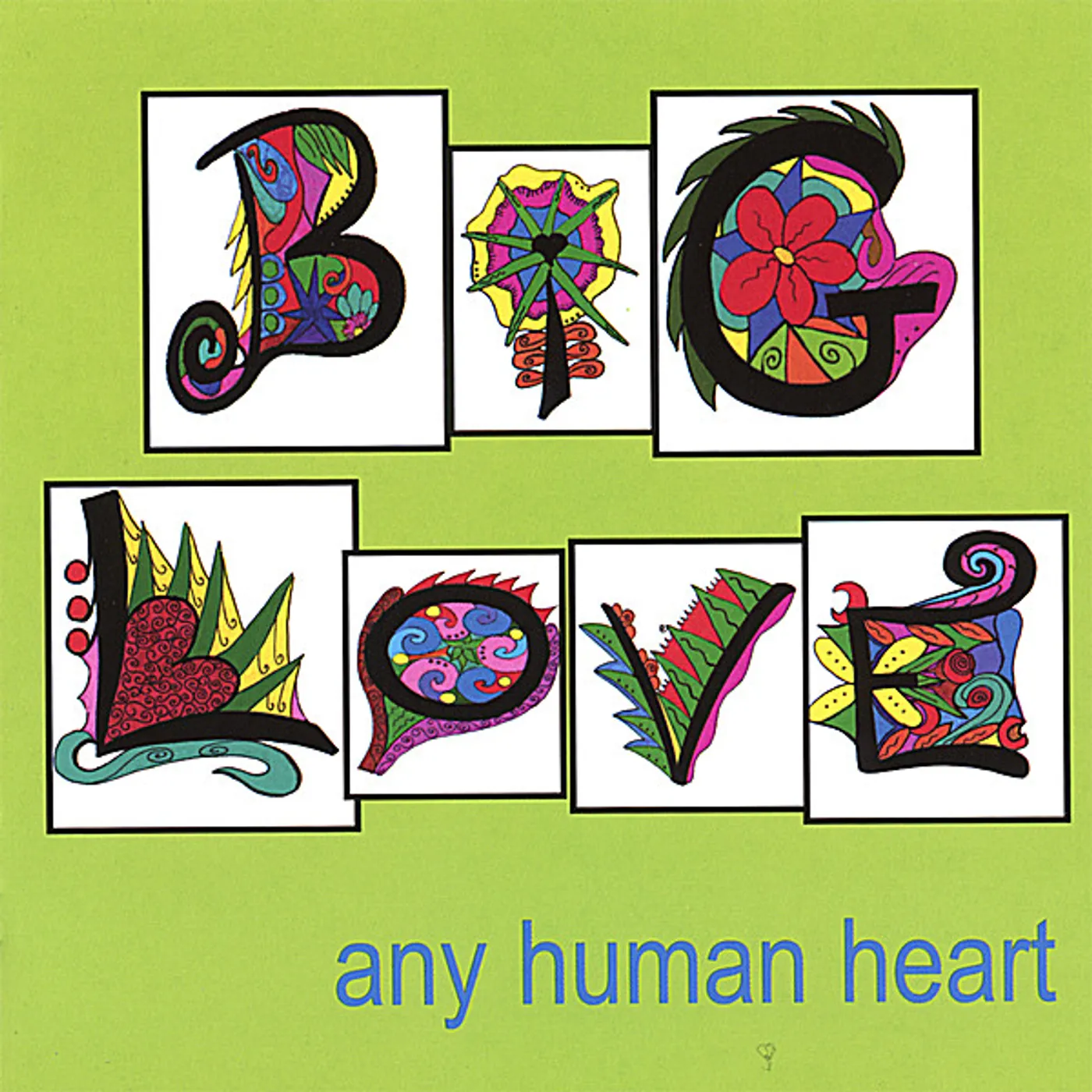 Big Love ANY HUMAN HEART CD