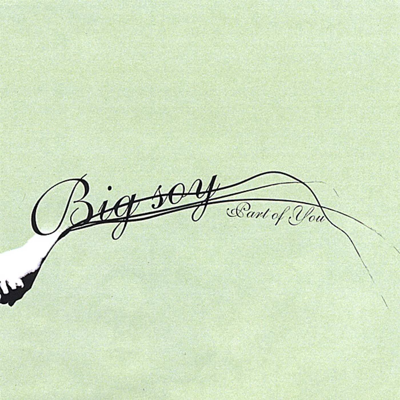 Big Soy PART OF YOU CD