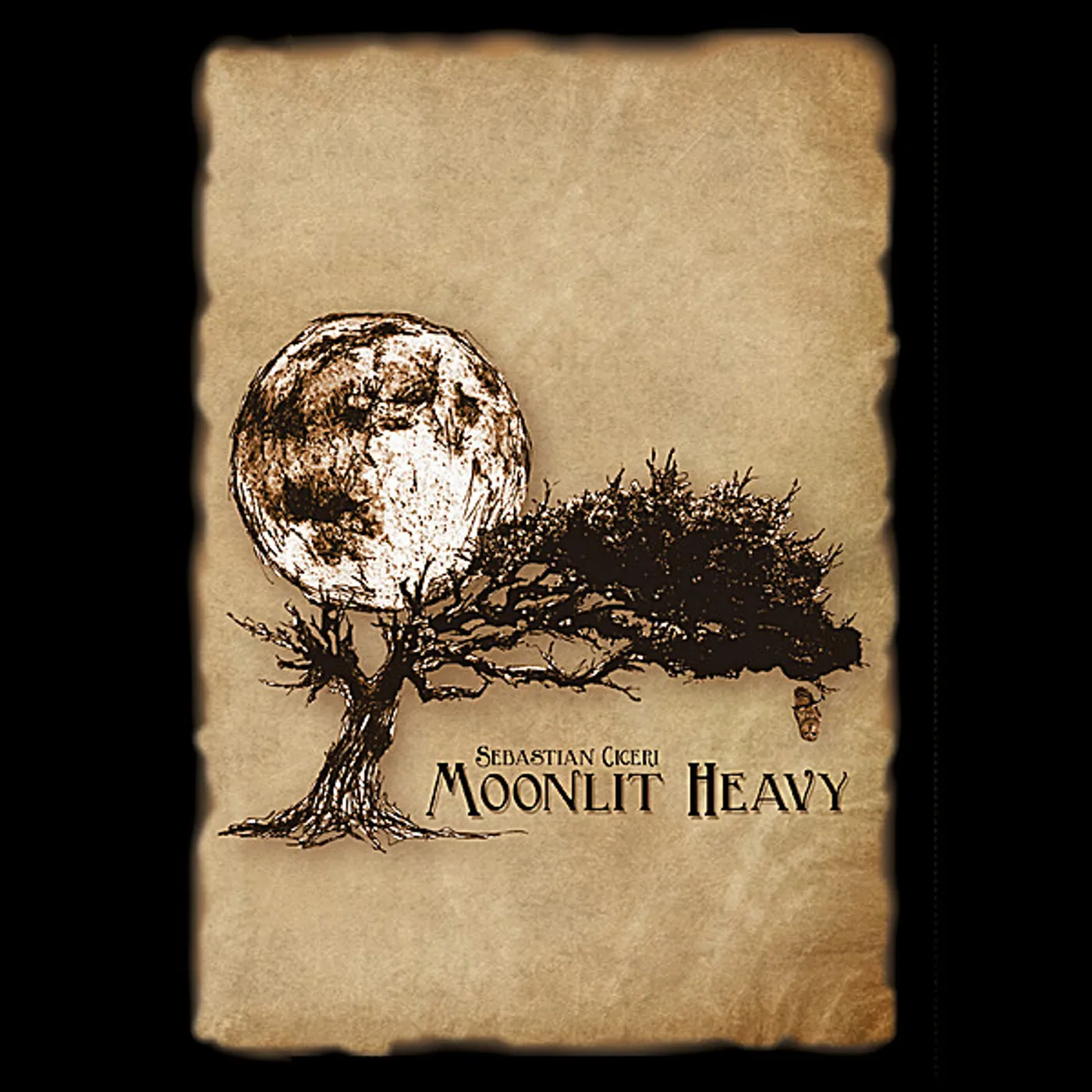 Shahin Torabi MOONLIT HEAVY CD