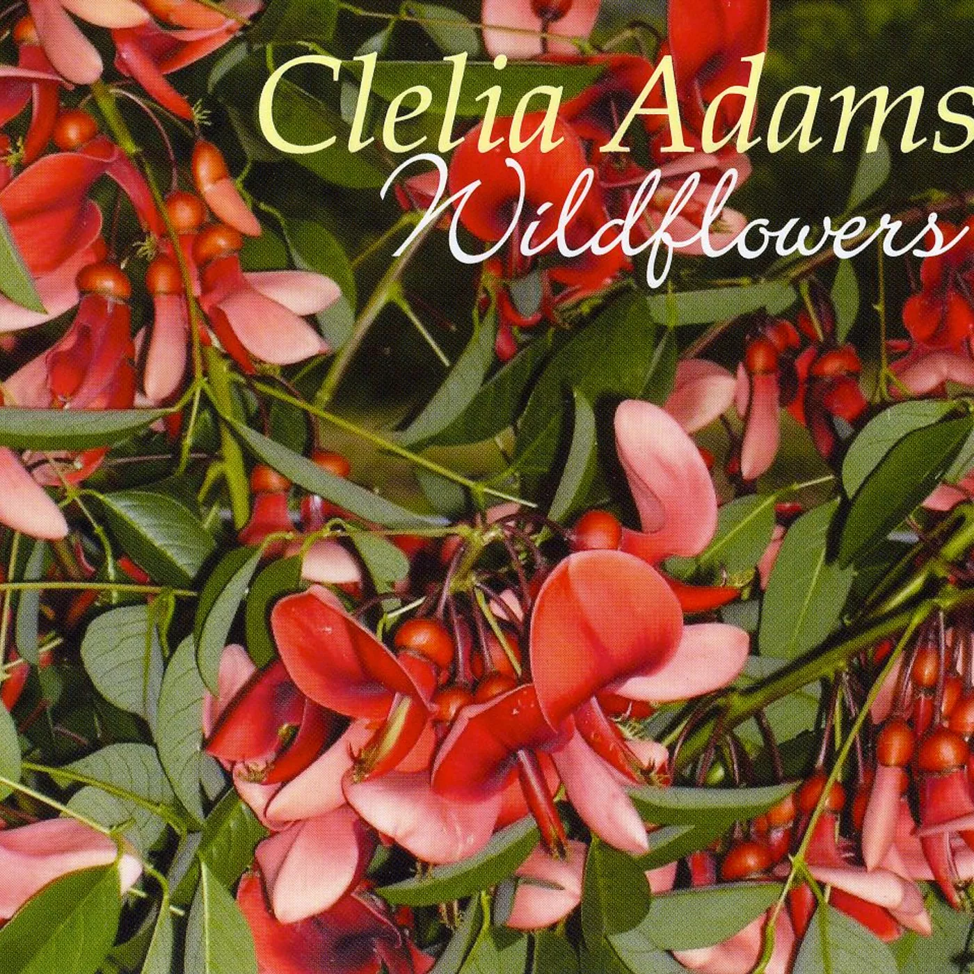 Clelia Adams WILDFLOWERS CD