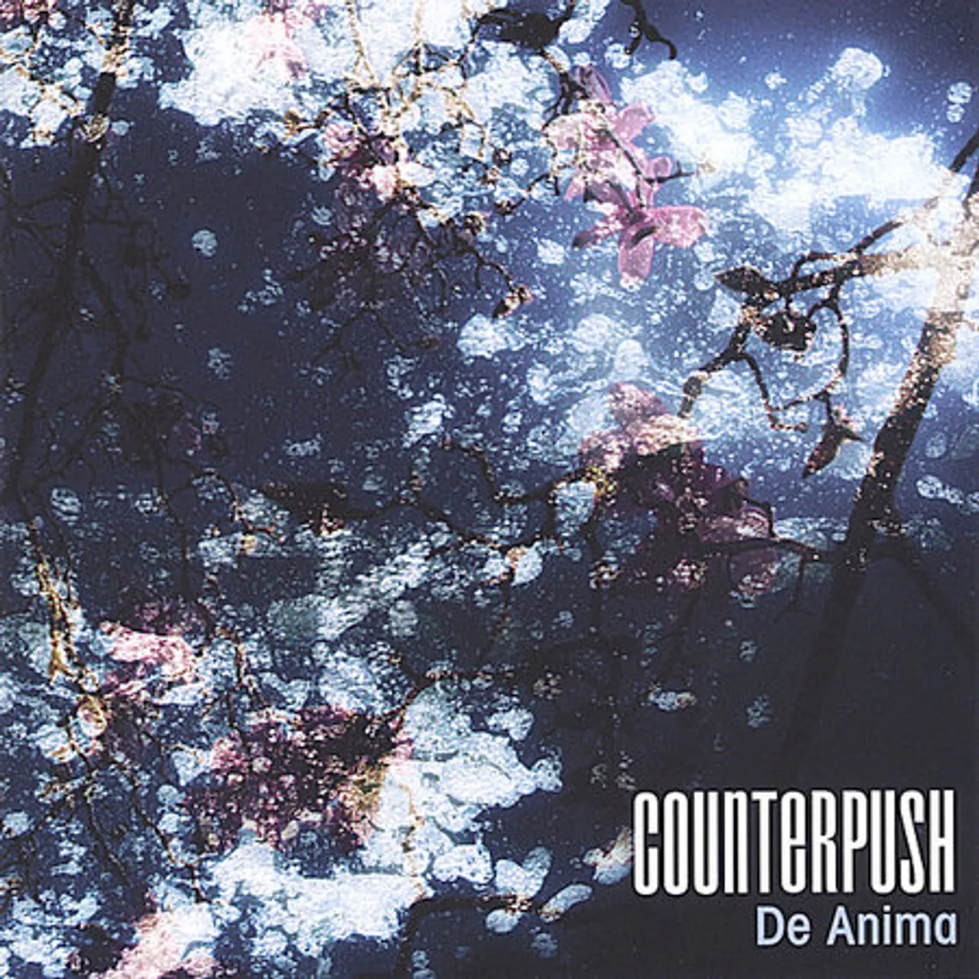 Counterpush DE ANIMA CD