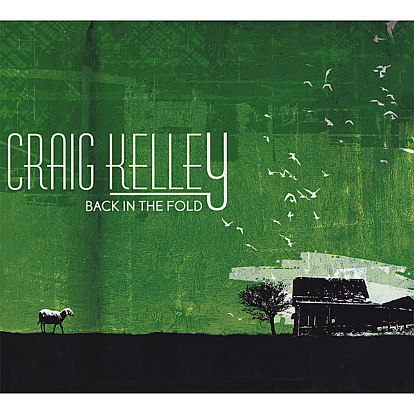 Craig Kelley BACK IN THE FOLD CD