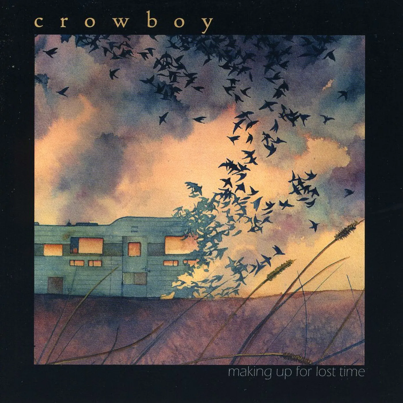 Crowboy MAKING UP FOR LOST TIME CD