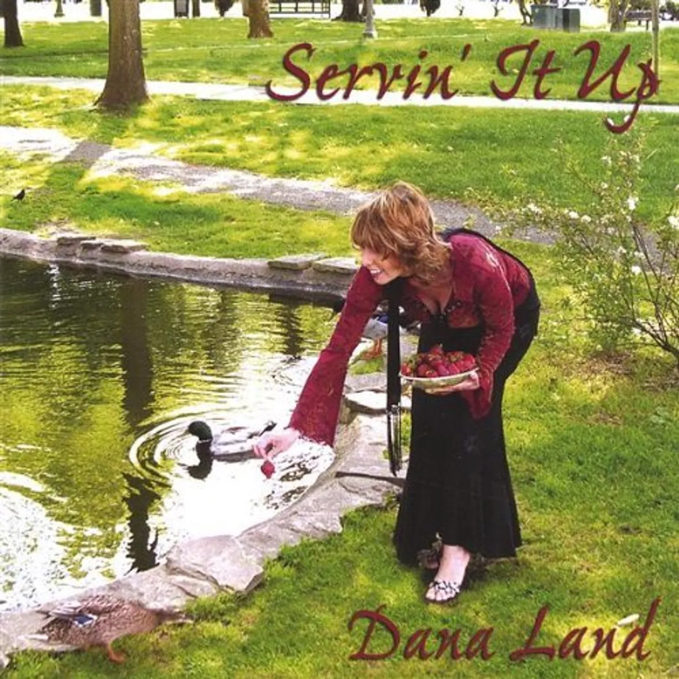 Dana Land SERVIN IT UP CD