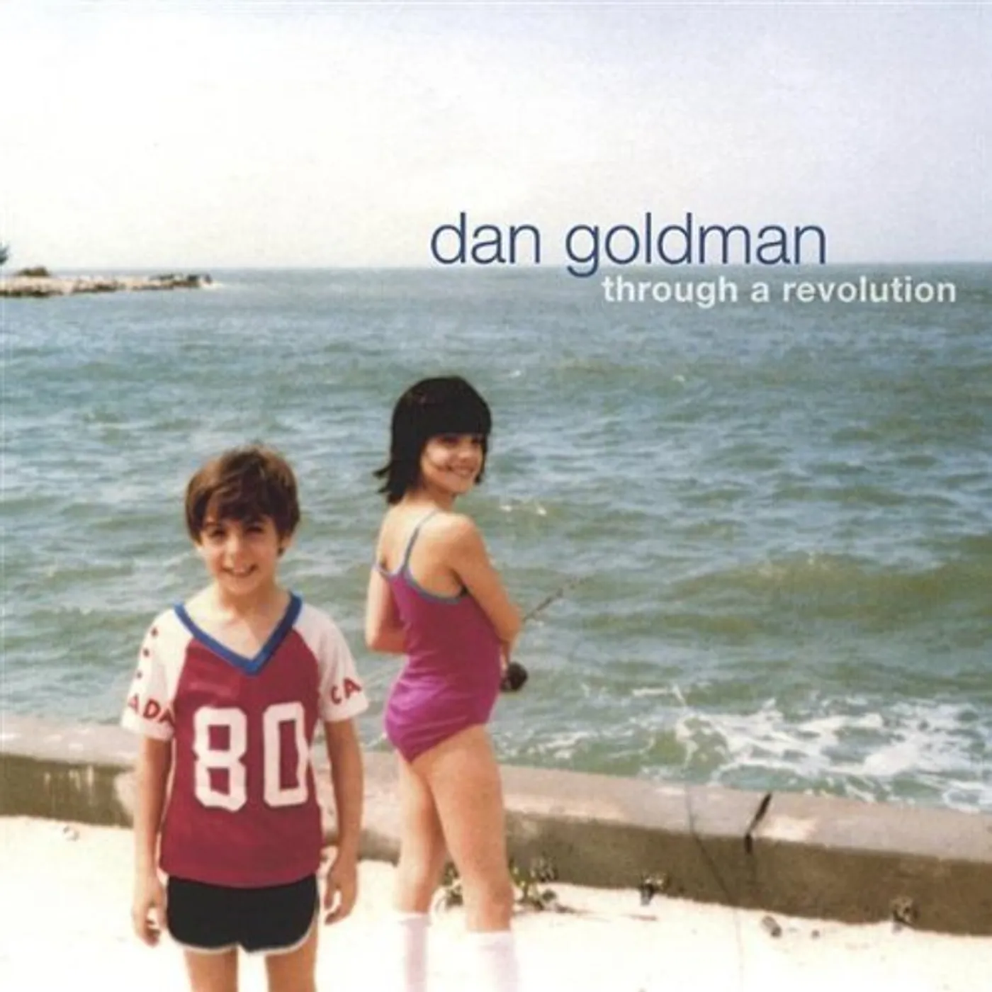 dan goldman THROUGH A REVOLUTION CD