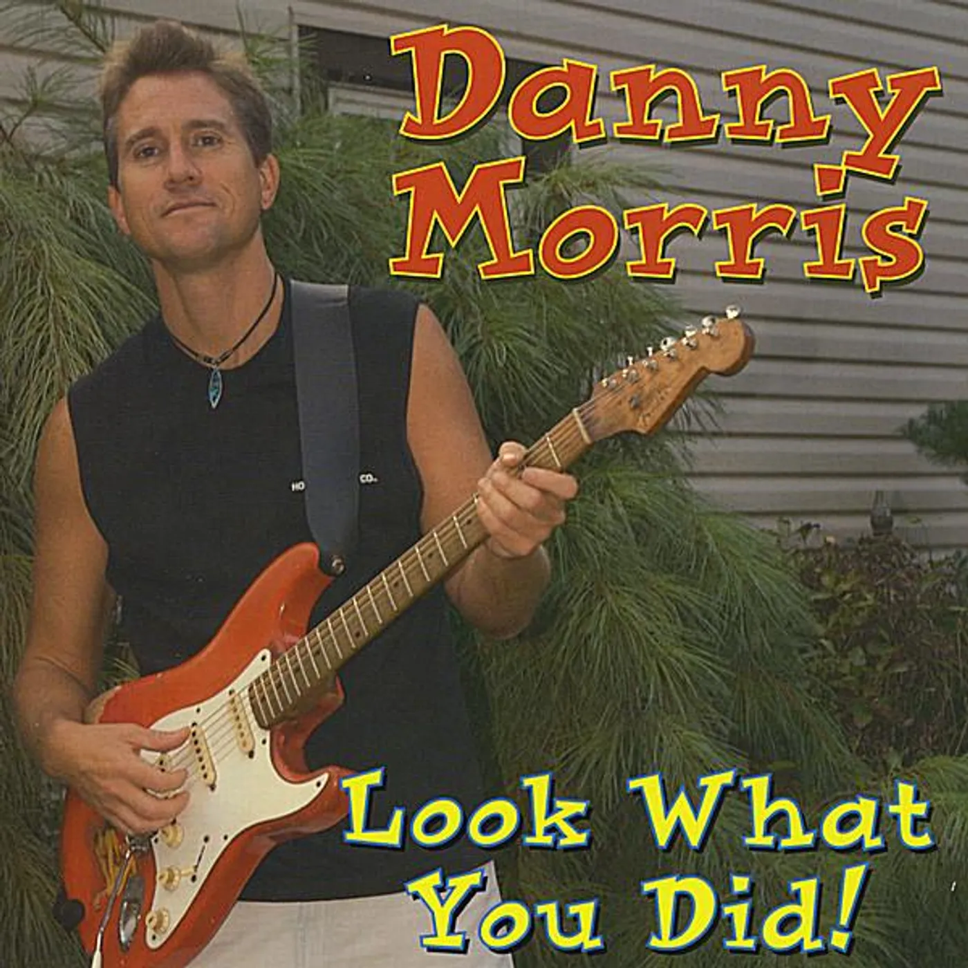 Danny Morris LOOK WHAT YOU DID! CD