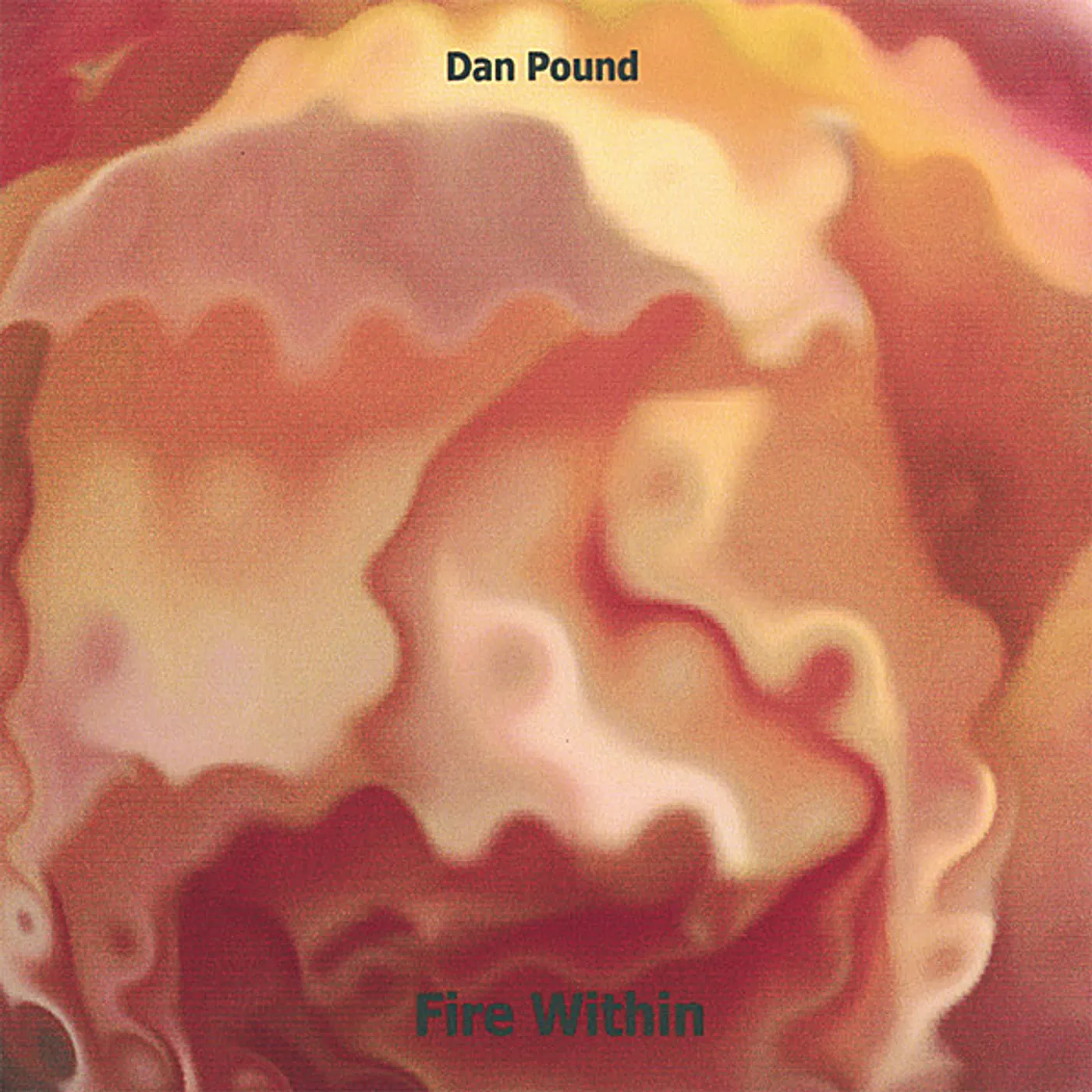 Dan Pound FIRE WITHIN CD