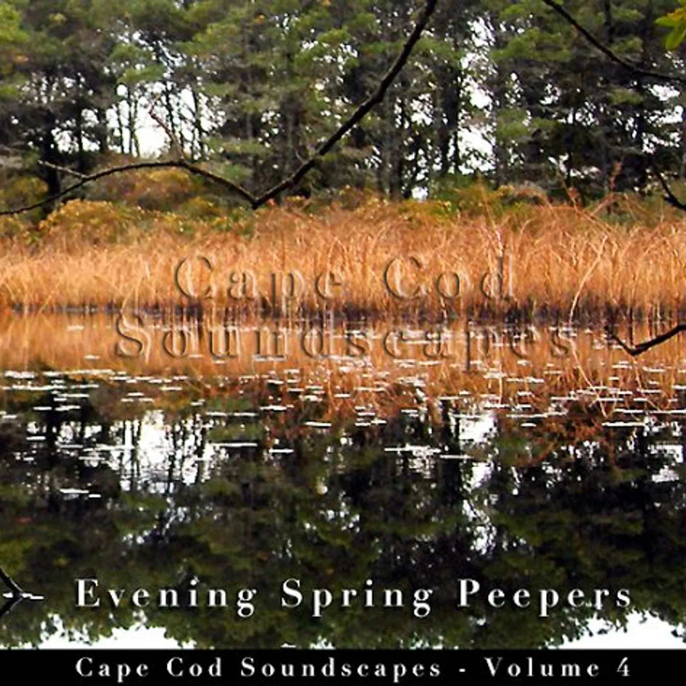 Christopher Seufert CAPE COD SOUNDSCAPES: EVENING SPRING PEEPER 4 CD